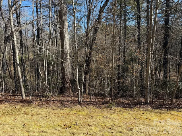 $105,000 | Lot 59 High Hemlock Trail, Brevard, NC 28712