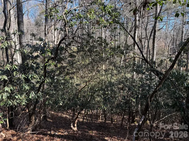 $105,000 | Lot 59 High Hemlock Trail, Brevard, NC 28712