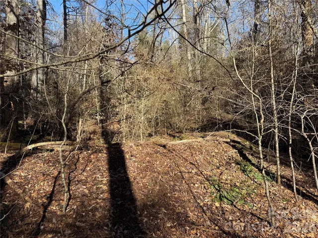 $105,000 | Lot 59 High Hemlock Trail, Brevard, NC 28712
