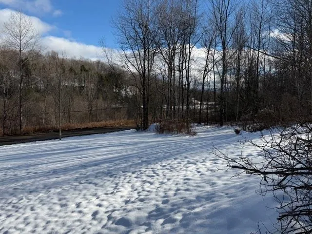 $299,000 | 77 Wyman Road, Morristown, VT 05661