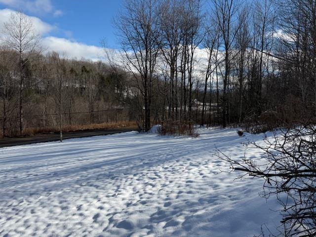 77 Wyman Road Morristown, VT 05661 - Photo 10 of 12