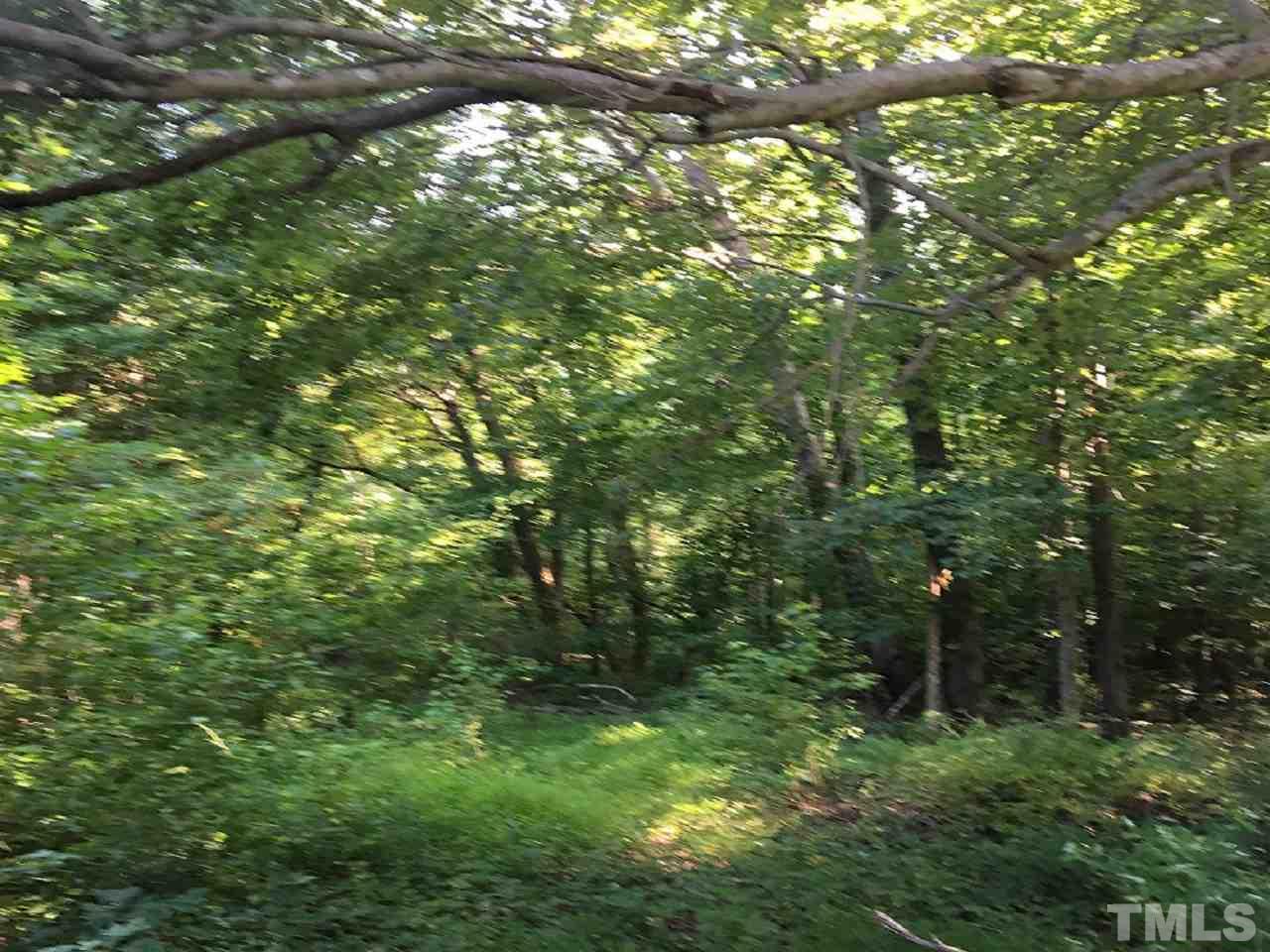 1000 Stoney Mountain Road Rougemont, NC 27572 - Photo 2 of 4