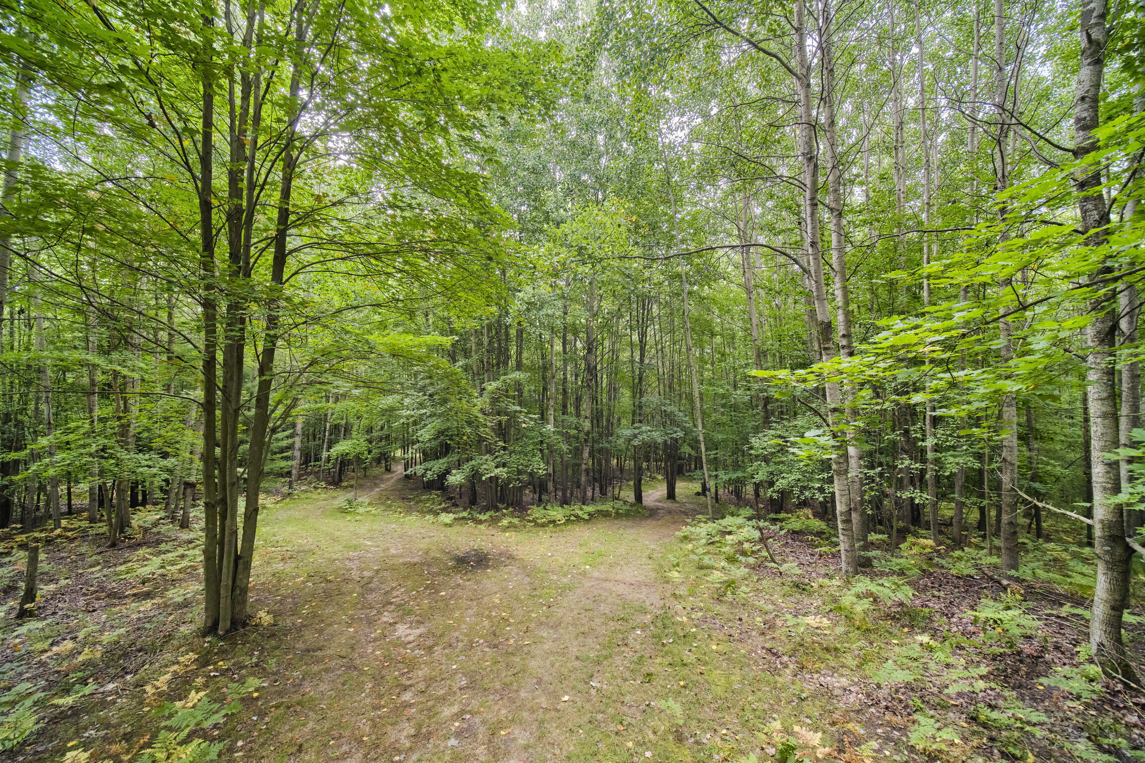 8089 Hunter Ridge Trail Copemish, MI 49625 - Photo 36 of 61 8089 Hunter's Ridge