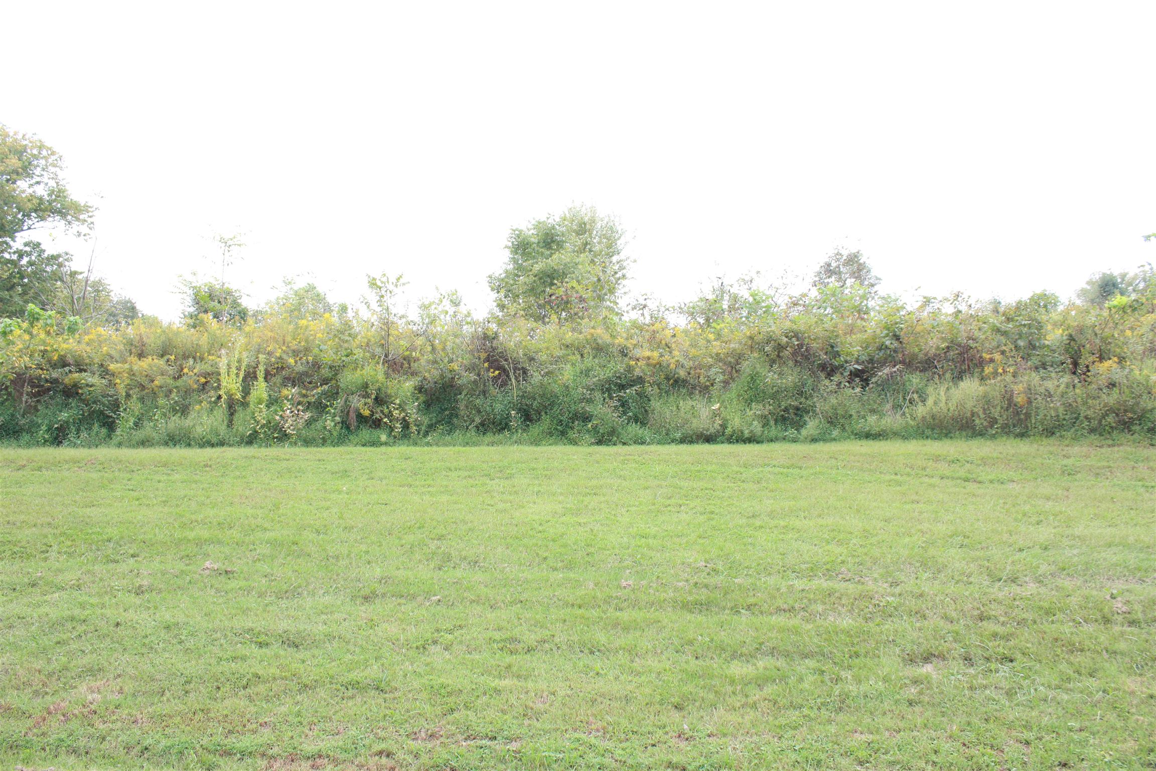201 Vantrease Road Cottontown, TN 37048 - Photo 12 of 13 a view of field with trees in the background