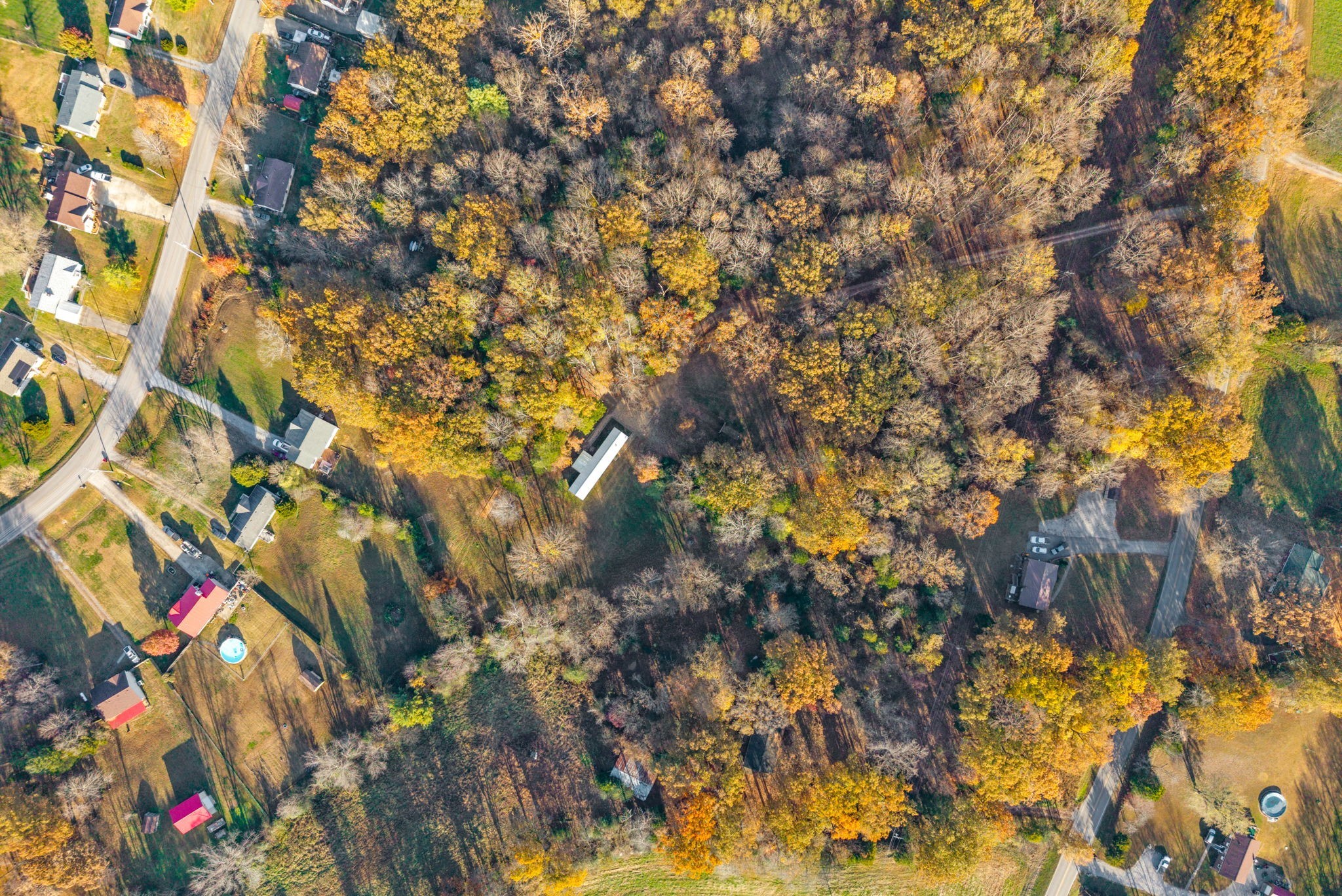 1595 York Road Clarksville, TN 37042 - Photo 11 of 13 a picture of tree