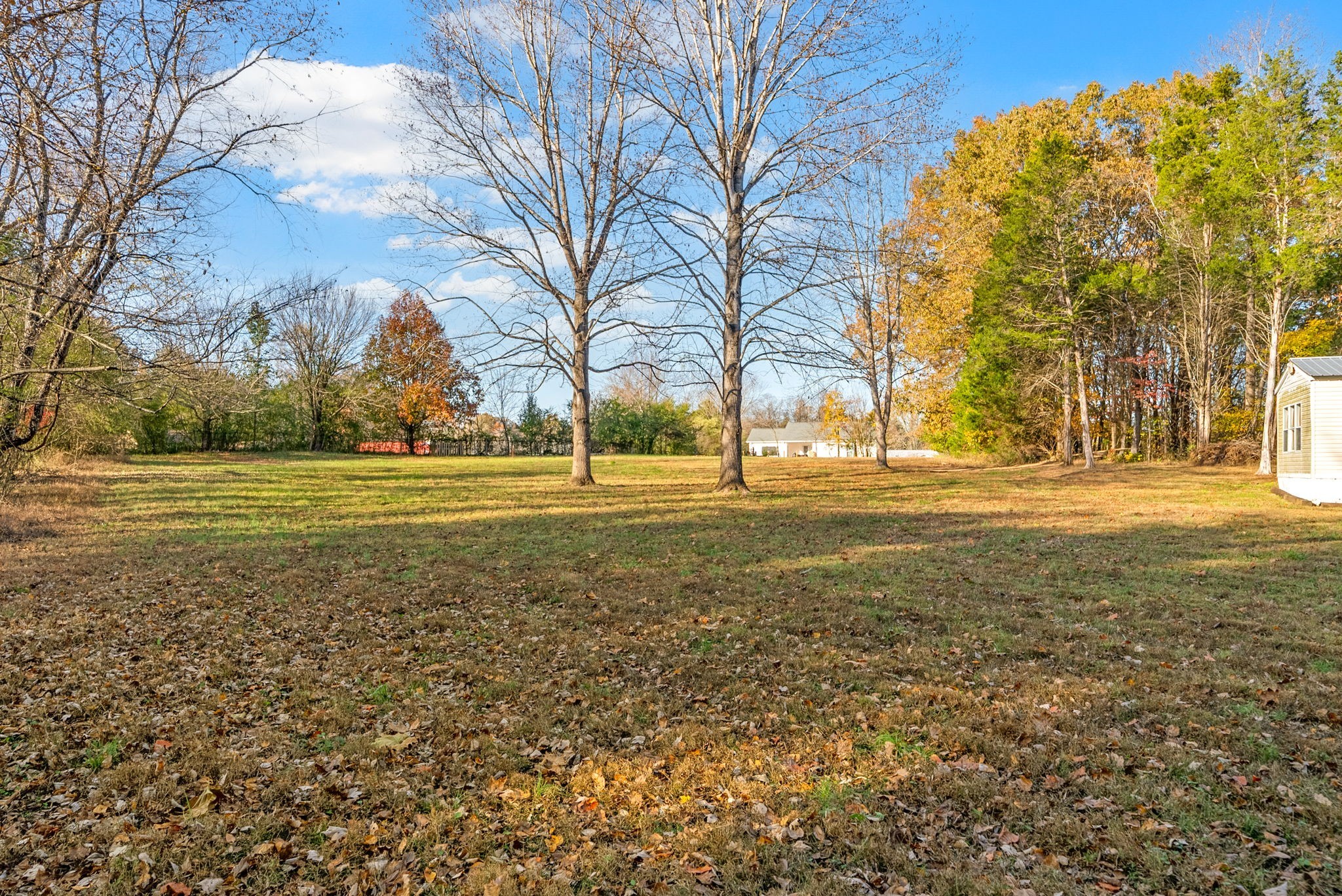 1595 York Road Clarksville, TN 37042 - Photo 6 of 13 a view of a ground with large trees
