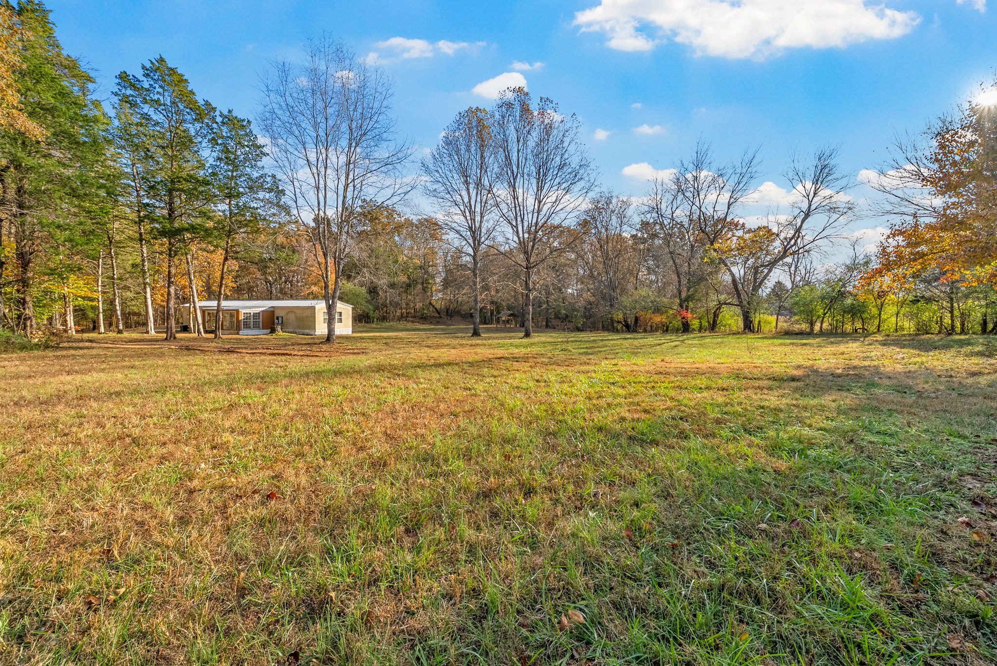1595 York Road Clarksville, TN 37042 - Photo 9 of 13 a backyard of apartments with large trees