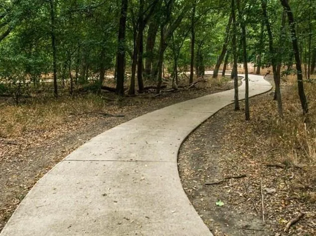 a view of a backyard with trees