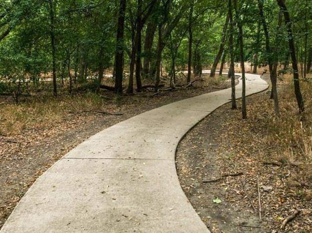 7518 Forest Ridge Trail Sachse, TX 75048 - Photo 40 of 40 a view of a backyard with trees