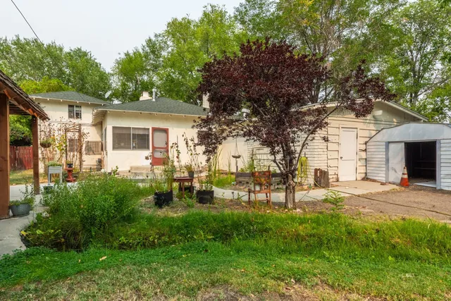 a view of a park with a tree