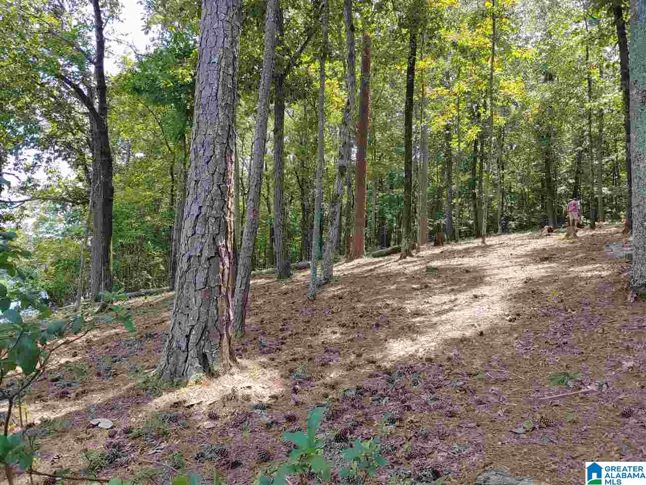 405 Cherokee Road, Unit 6 Cropwell, AL 35054 - Photo 11 of 20