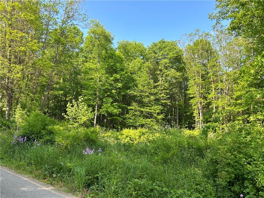 0 Chestnut Grove Road Franklin, PA 16323 - Photo 3 of 13