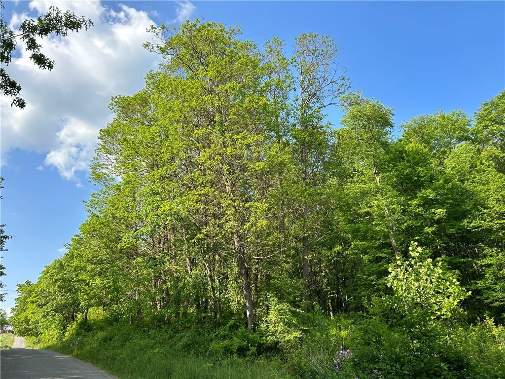 0 Chestnut Grove Road Franklin, PA 16323 - Photo 5 of 13