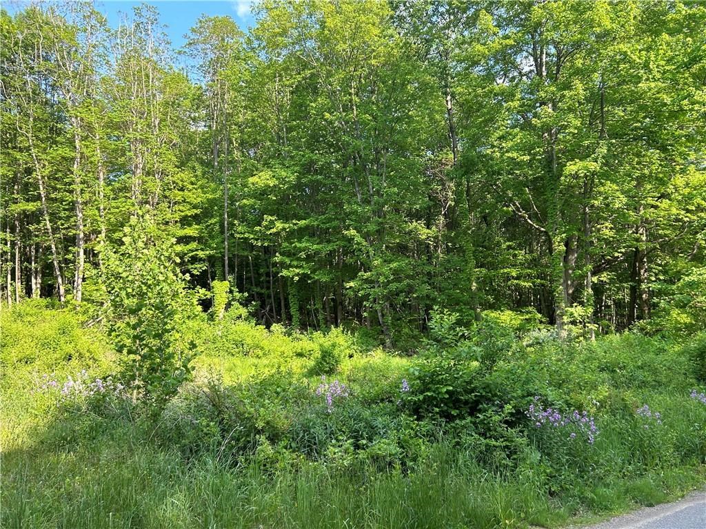 0 Chestnut Grove Road Franklin, PA 16323 - Photo 6 of 13
