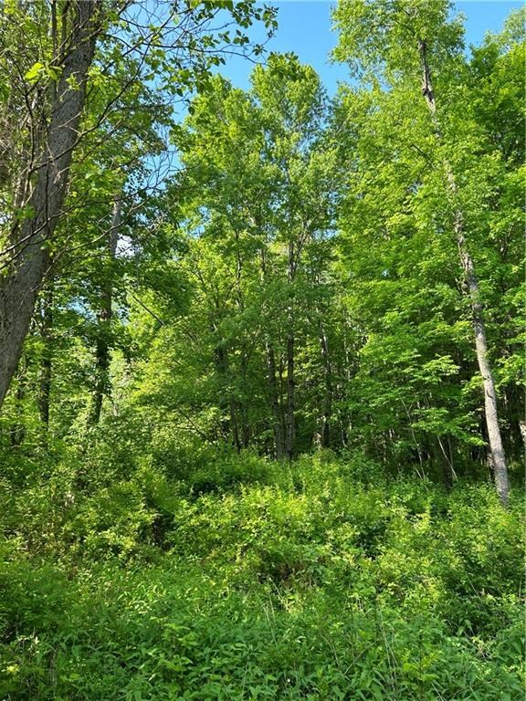 0 Chestnut Grove Road Franklin, PA 16323 - Photo 9 of 13