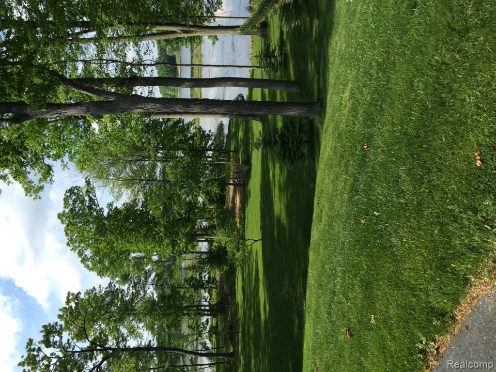 8730 Rachael Davisburg, MI 48350 - Photo 9 of 11 image1 (1).jpg
