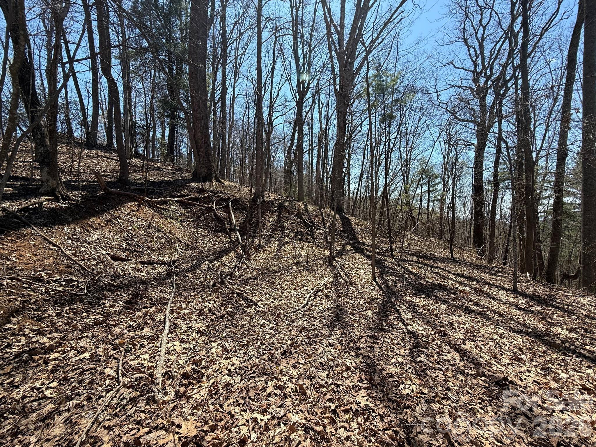 0 Granny Shepherd Road, Unit LOT 2 Mars Hill, NC 28754 - Photo 3 of 22