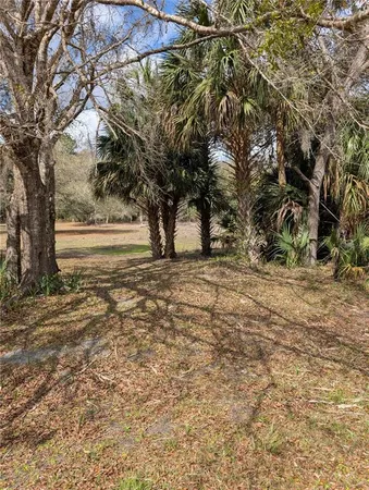 a view of an outdoor space with trees