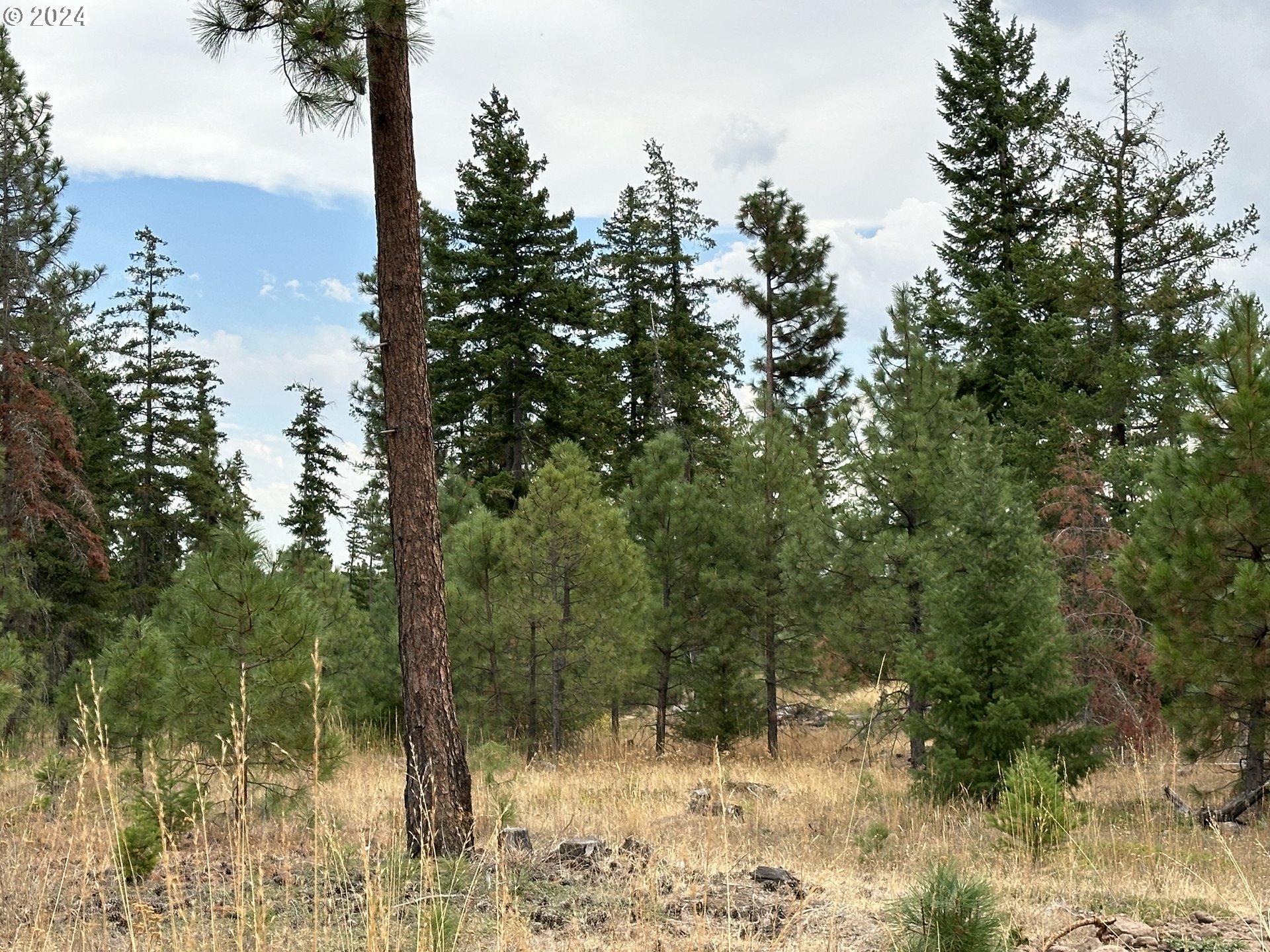 731 Matola Road Goldendale, WA 98620 - Photo 7 of 9 Gallery Image 7