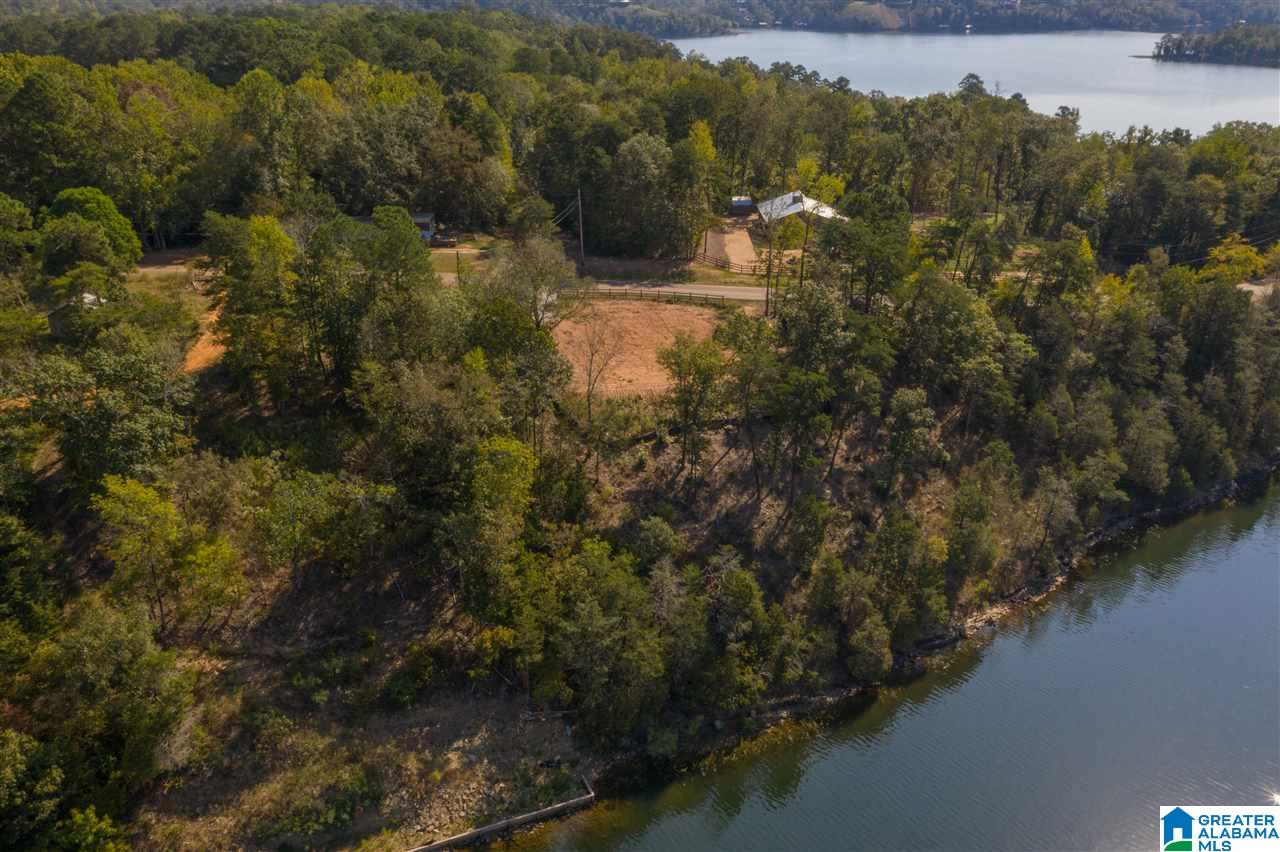 0 Sexton Bend Road, Unit 5 Fayette, AL 35555 - Photo 10 of 12