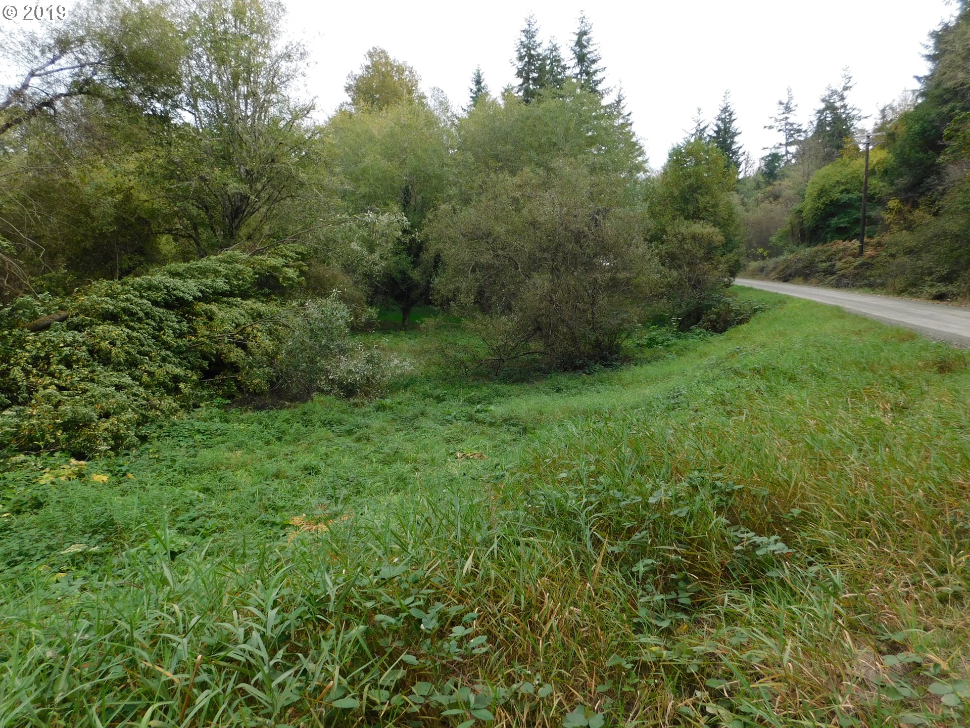 700 Old Broadbent Road Myrtle Point, OR 97458 - Photo 6 of 8 Gallery Image 6