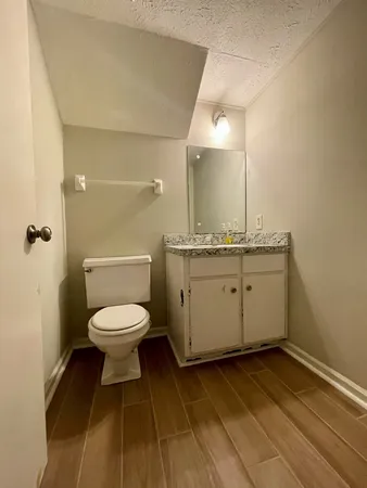 a bathroom with a sink a toilet and a mirror