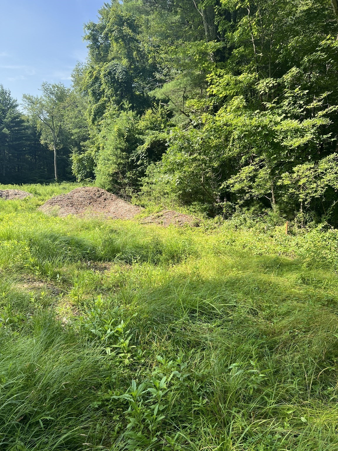 122 Vinton Road Holland, MA 01521 - Photo 6 of 18 Gallery Image 6
