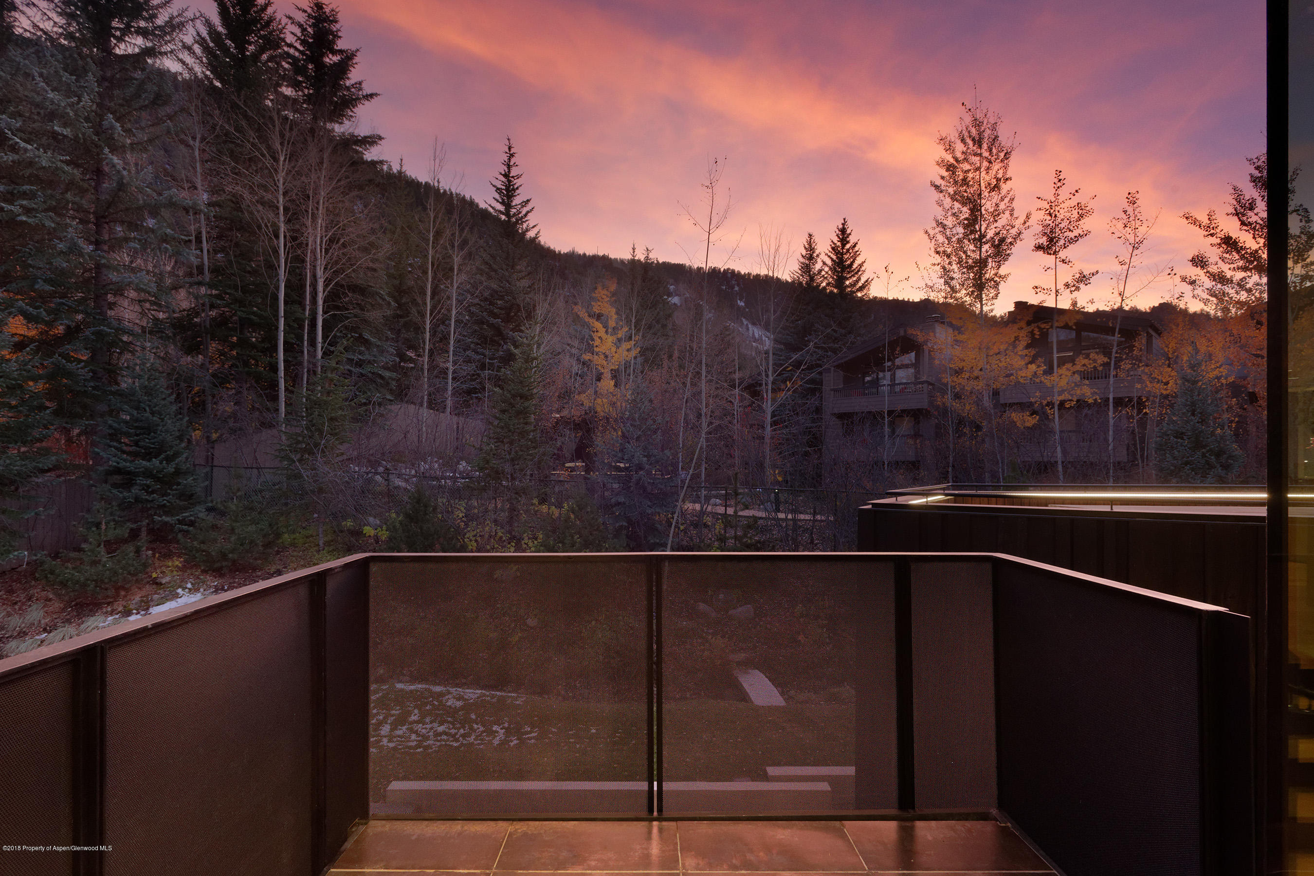 1118 Waters Avenue Aspen, CO 81611 - Photo 19 of 30