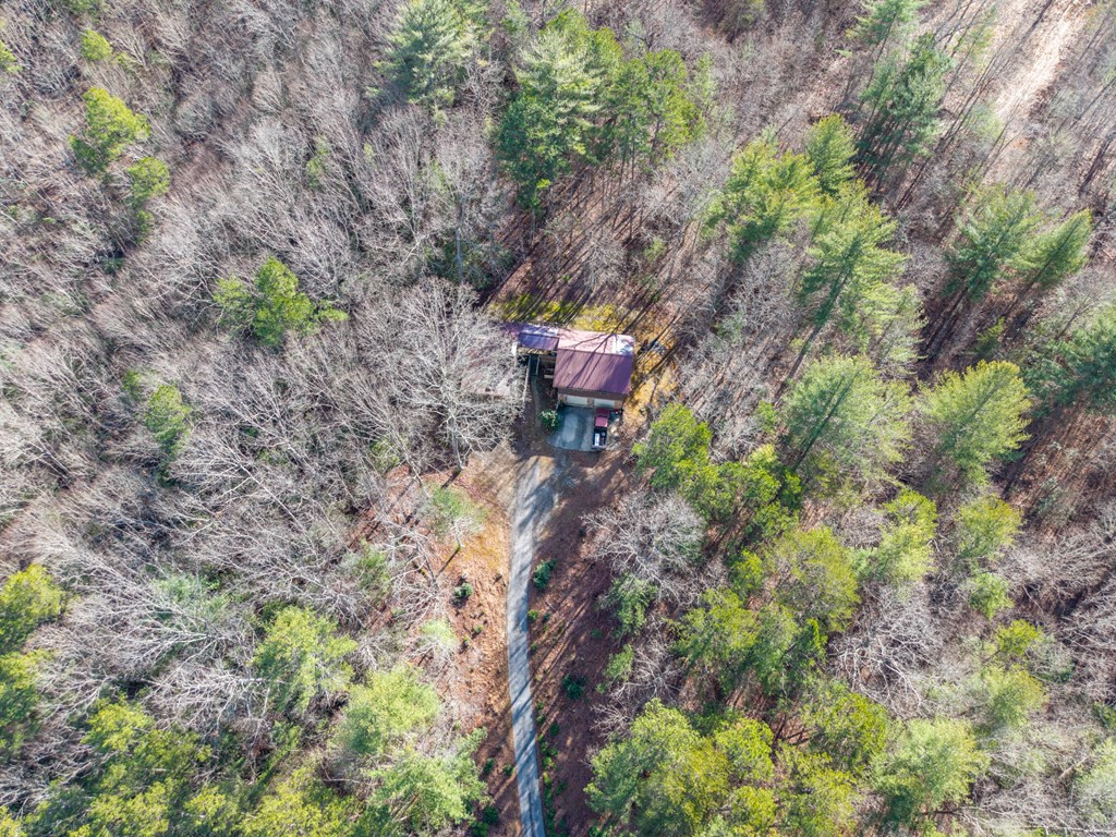 300 Sandy Gap Road Murphy, NC 28906 - Photo 7 of 47