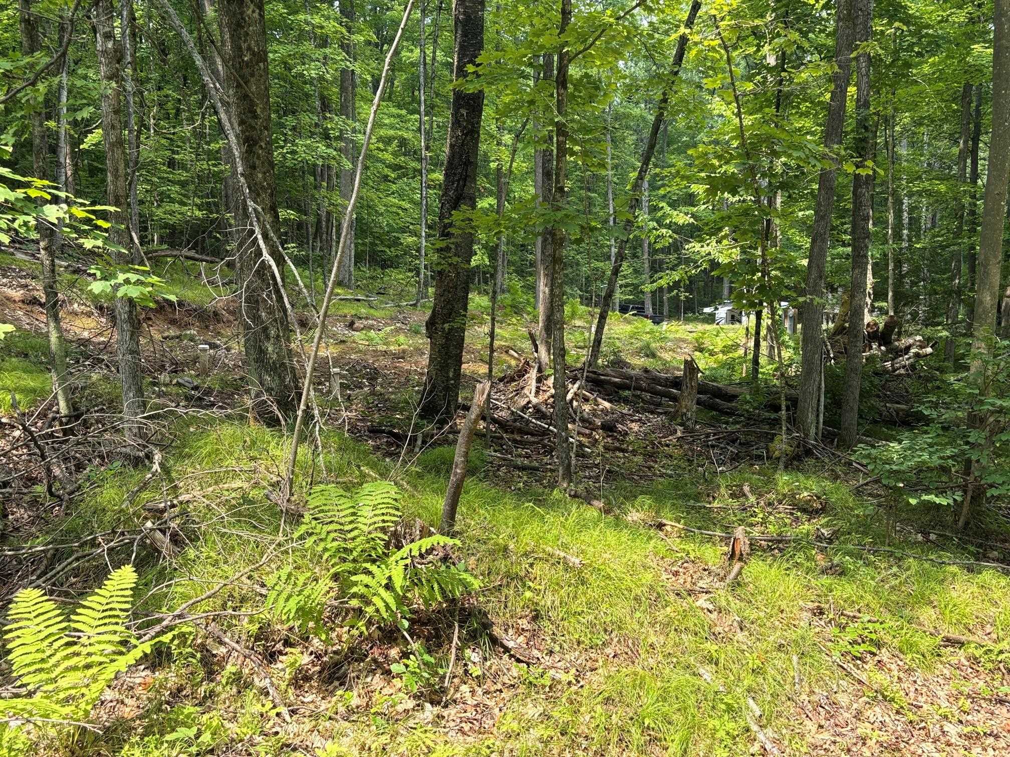 W15795 Fawn Acres Road Fence, WI 54120 - Photo 16 of 22 Gallery Image 16