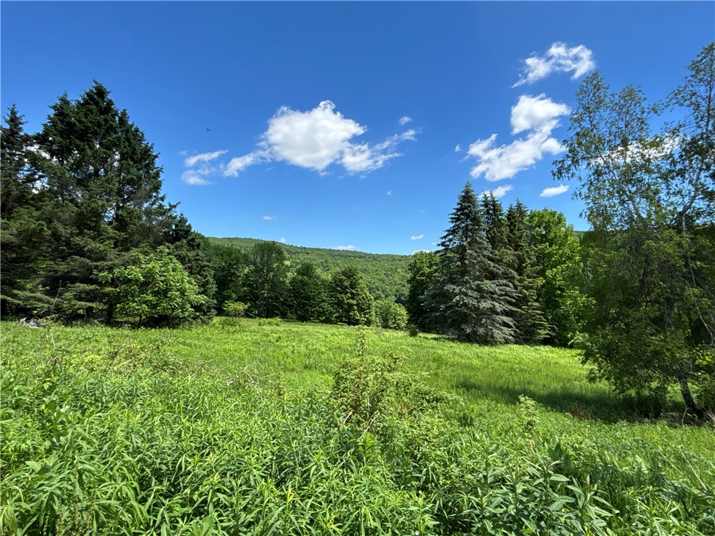 2613 Murphy Hill Road Andes, NY 13731 - Photo 22 of 35