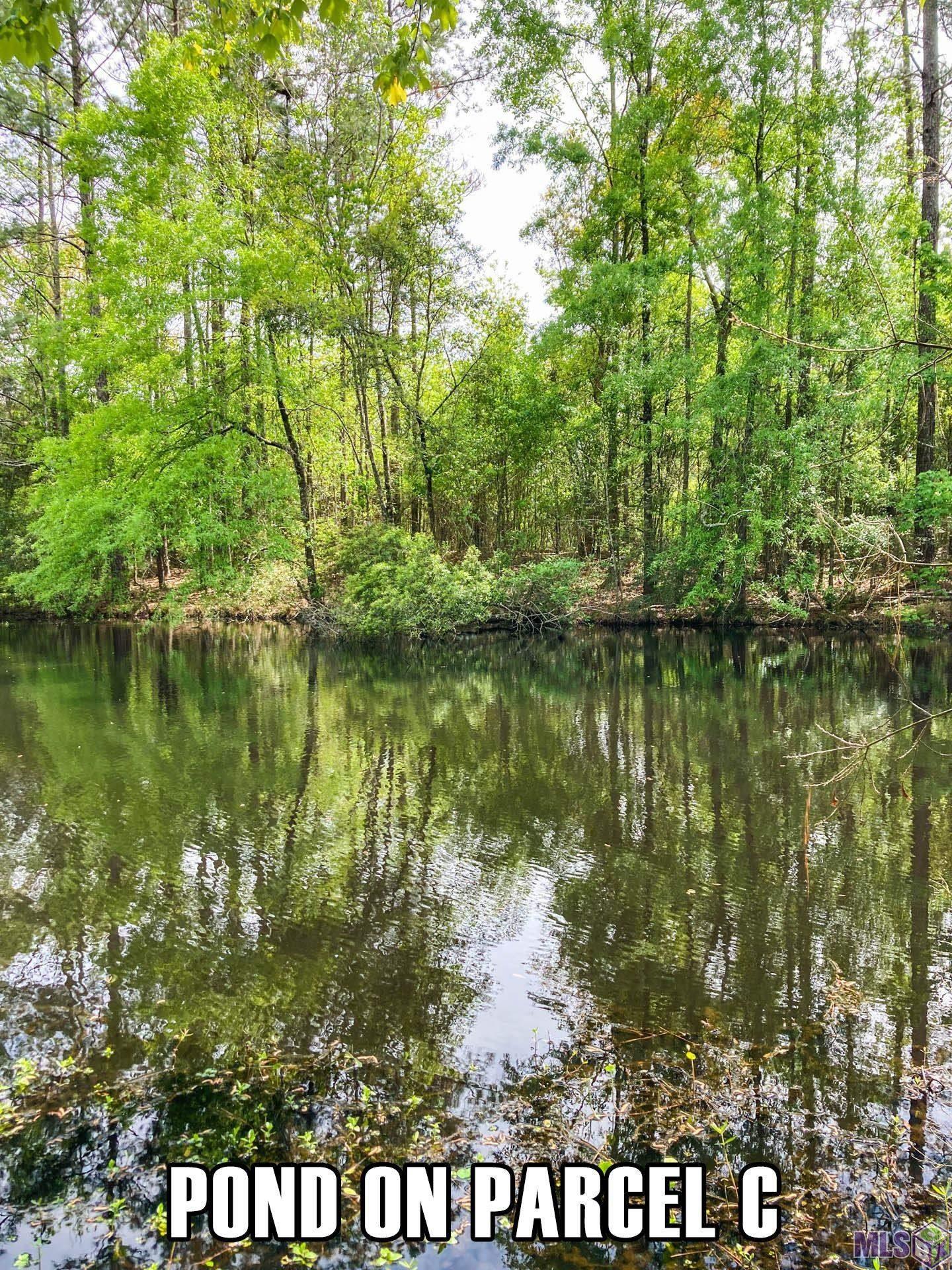 Tract C Milton Road Hammond, LA 70401 - Photo 11 of 16 Gallery Image 11