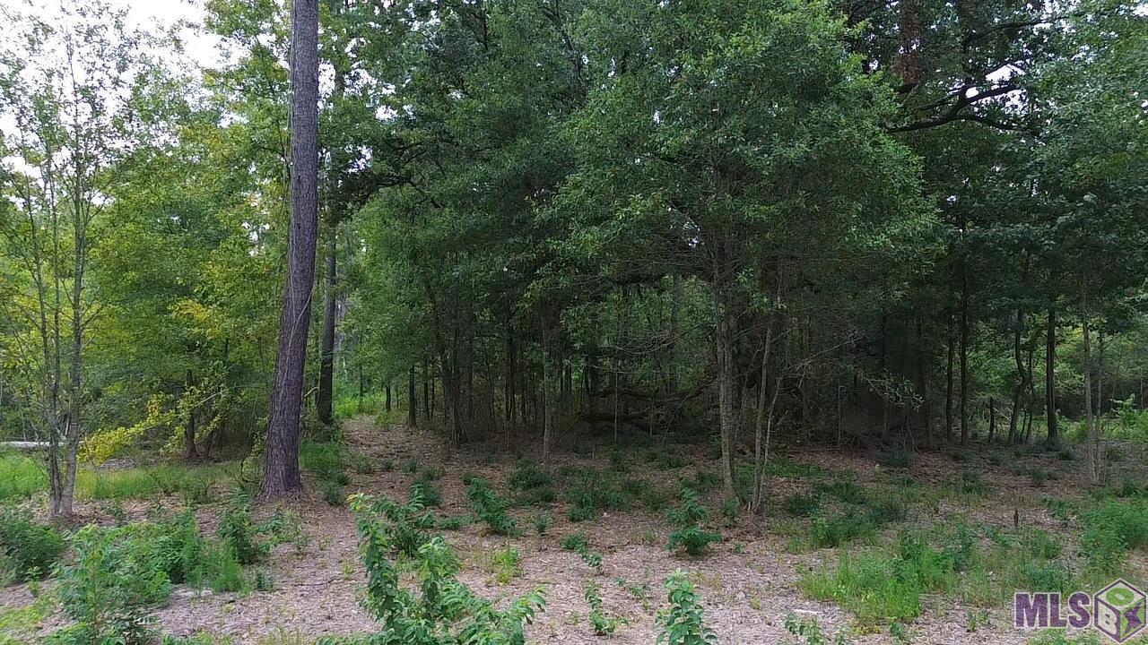 Tract C Milton Road Hammond, LA 70401 - Photo 5 of 16 Gallery Image 5