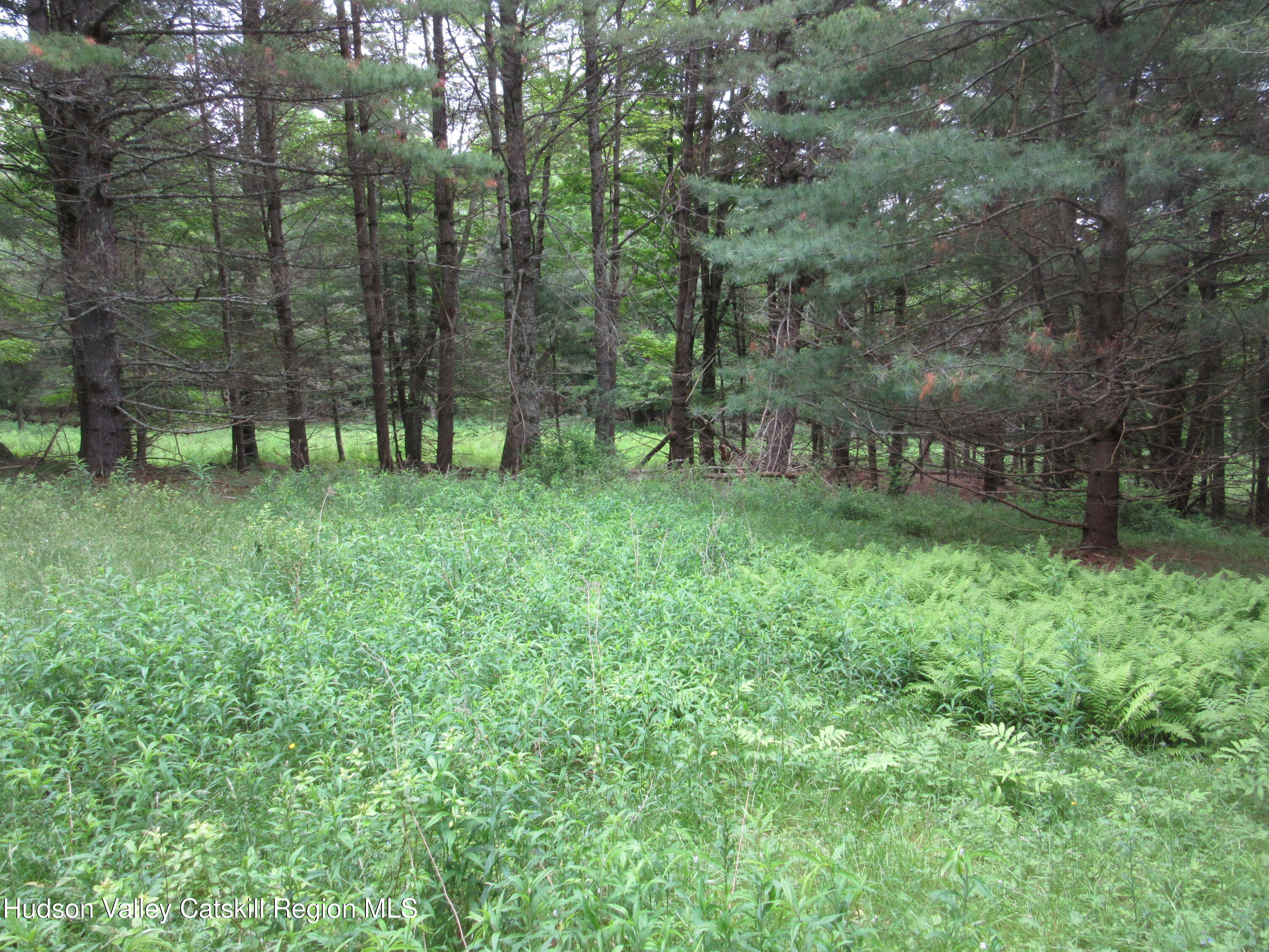 0 Airport Road Jewett, NY 12444 - Photo 11 of 38 IMG_7499