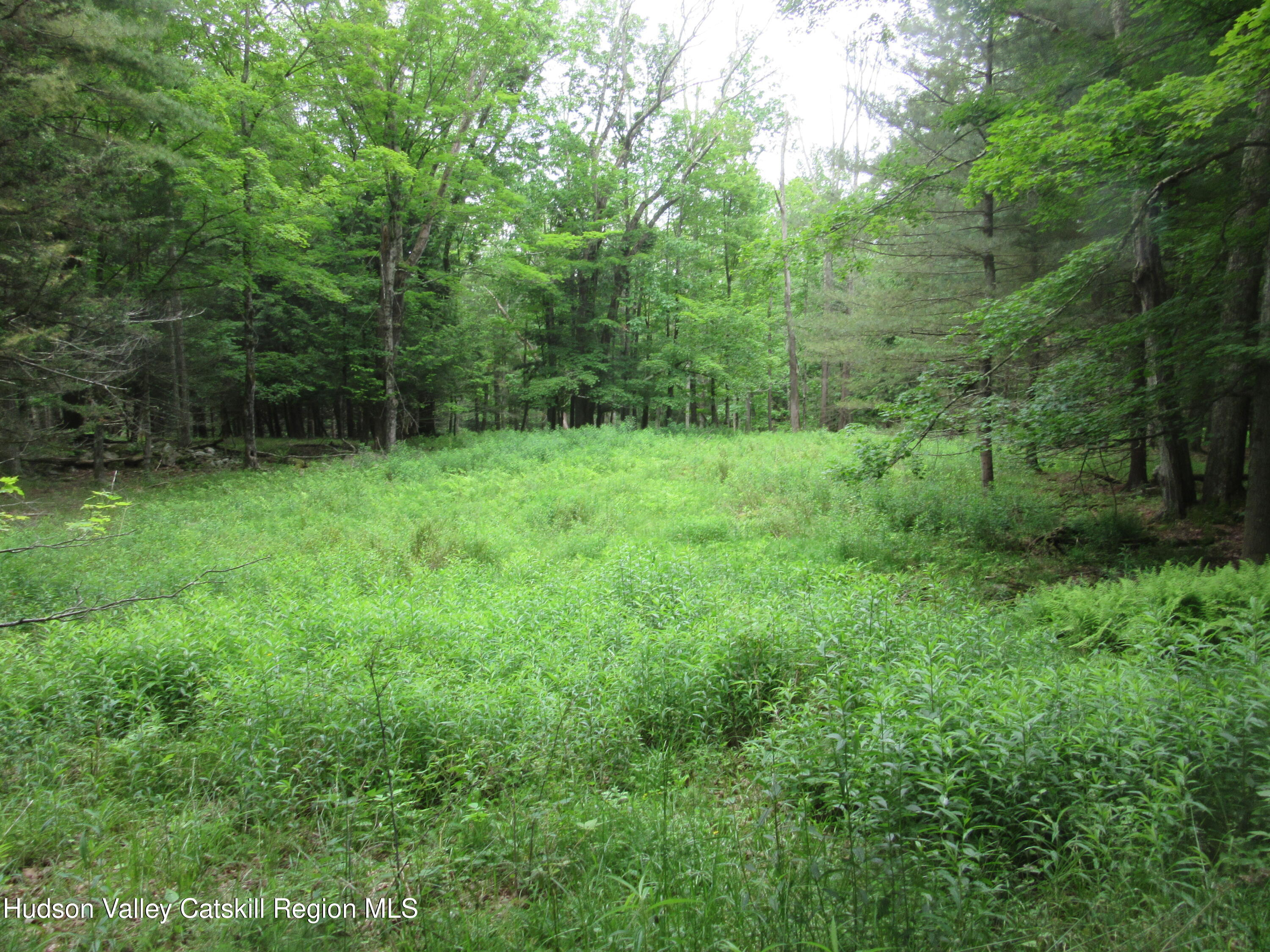 0 Airport Road Jewett, NY 12444 - Photo 12 of 38 IMG_7500