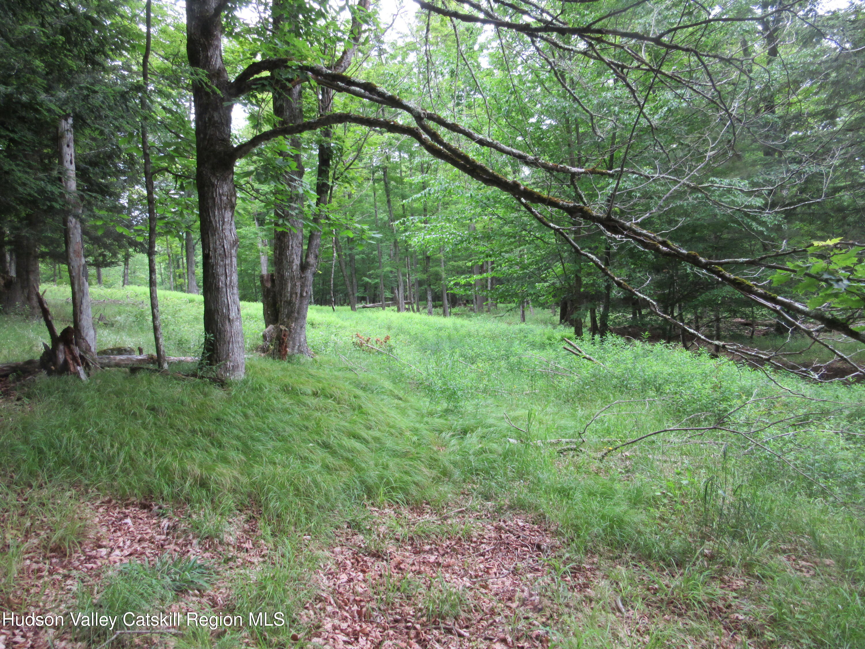 0 Airport Road Jewett, NY 12444 - Photo 13 of 38 IMG_7501