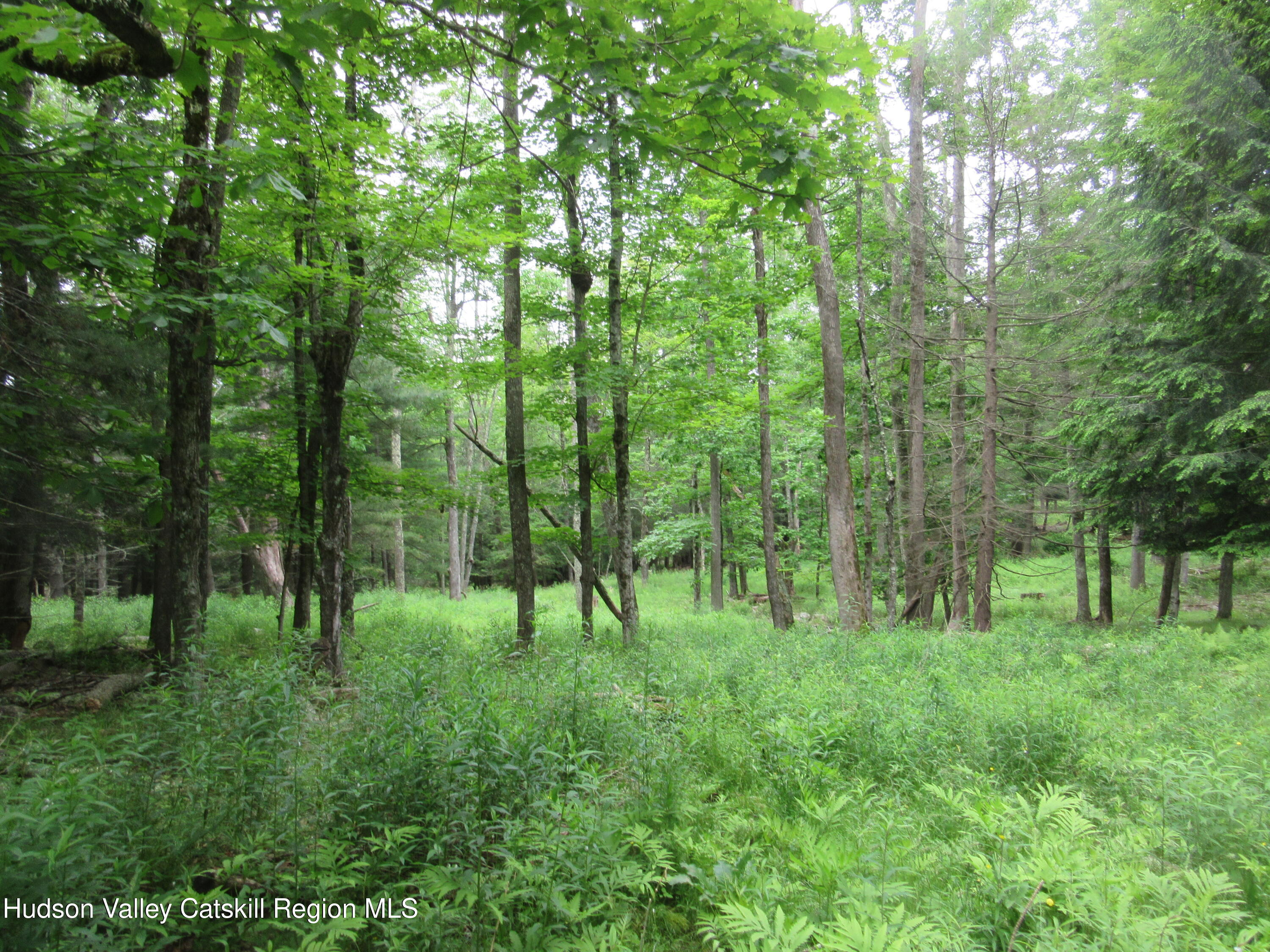 0 Airport Road Jewett, NY 12444 - Photo 14 of 38 IMG_7502