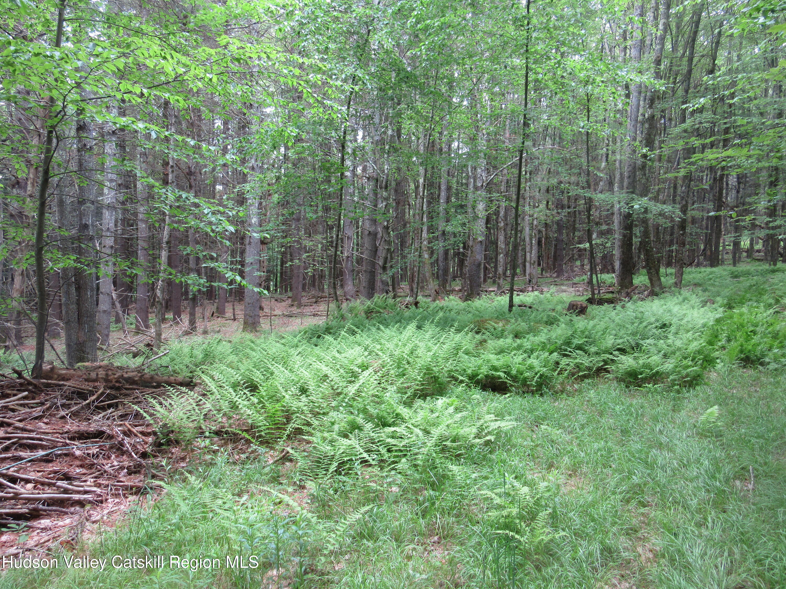 0 Airport Road Jewett, NY 12444 - Photo 19 of 38 IMG_7508