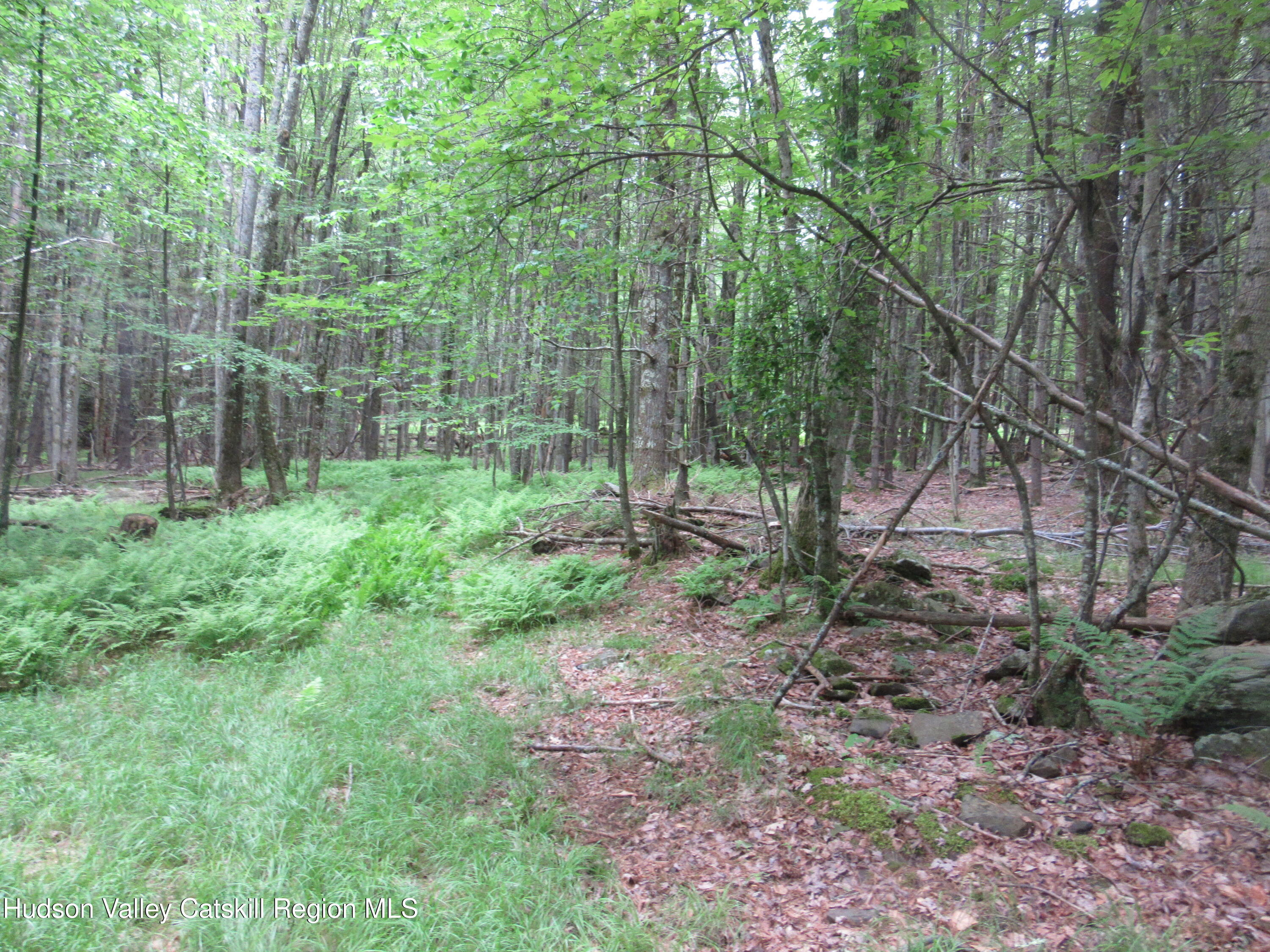 0 Airport Road Jewett, NY 12444 - Photo 20 of 38 IMG_7509