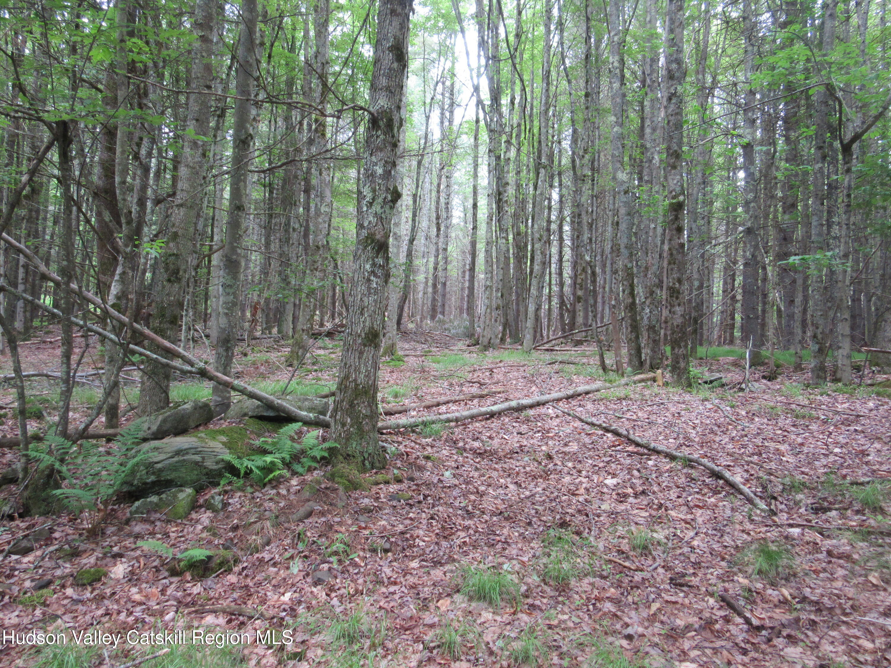 0 Airport Road Jewett, NY 12444 - Photo 21 of 38 IMG_7510