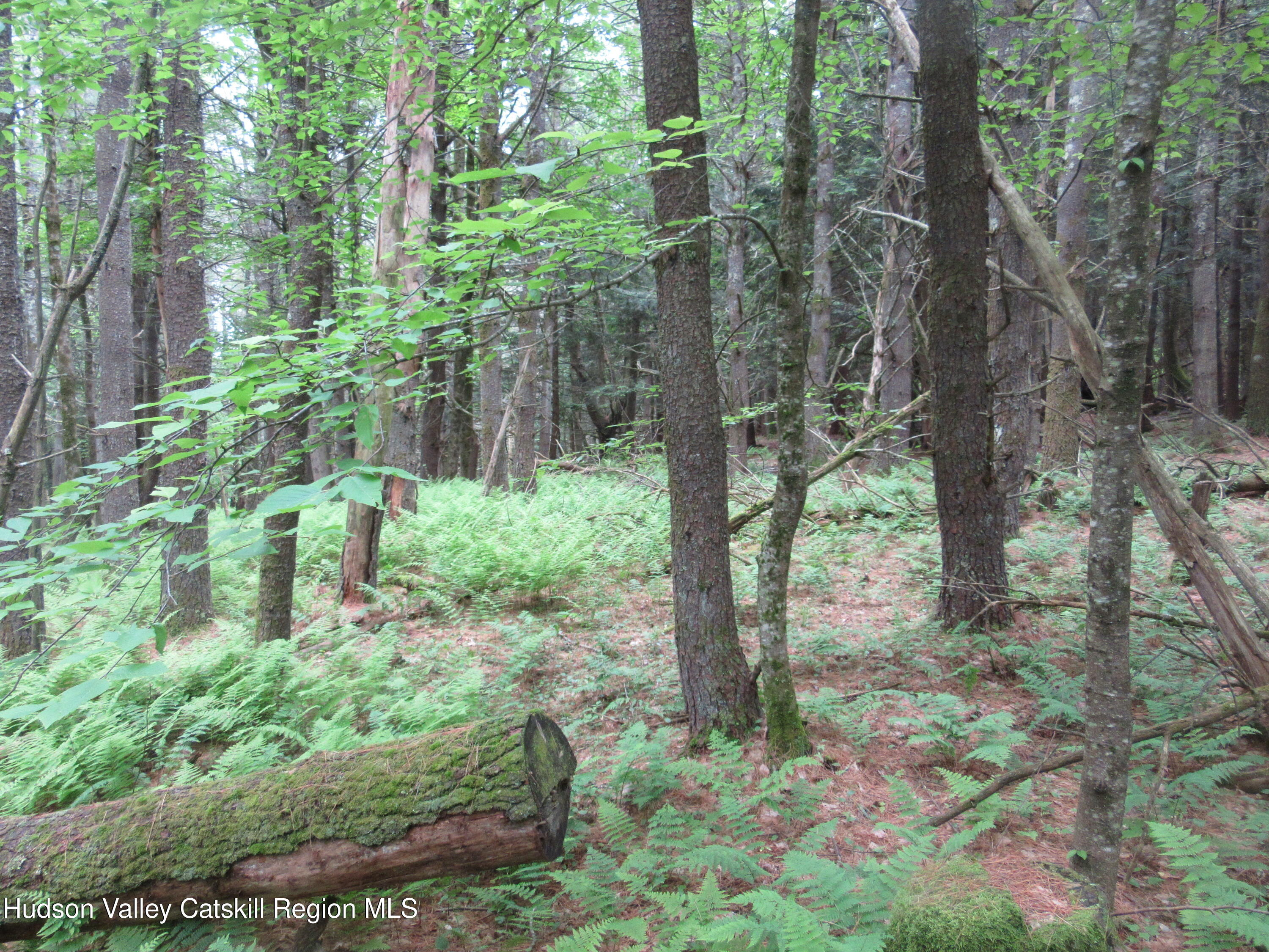 0 Airport Road Jewett, NY 12444 - Photo 26 of 38 IMG_7515