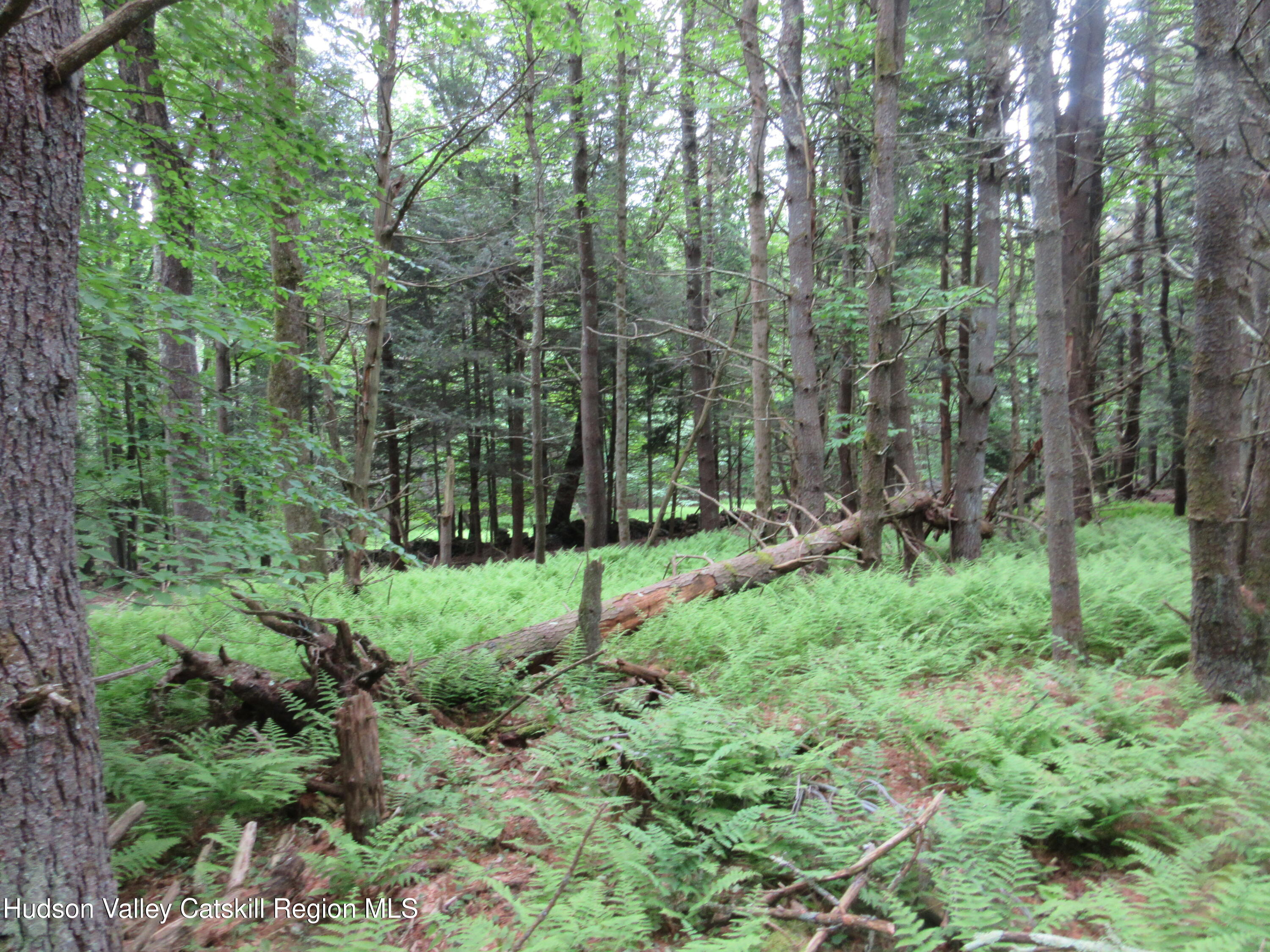 0 Airport Road Jewett, NY 12444 - Photo 28 of 38 IMG_7517