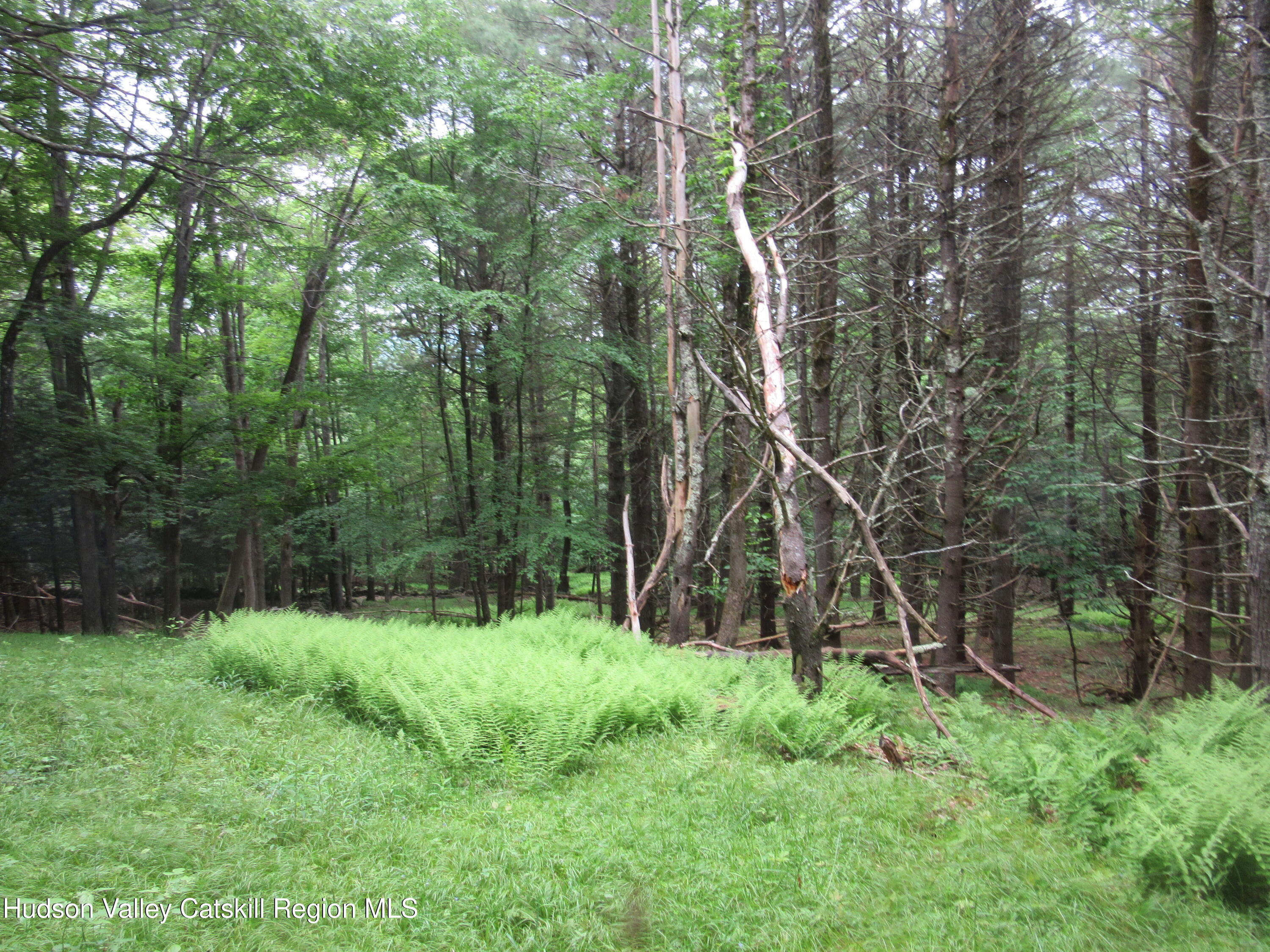 0 Airport Road Jewett, NY 12444 - Photo 30 of 38 IMG_7522