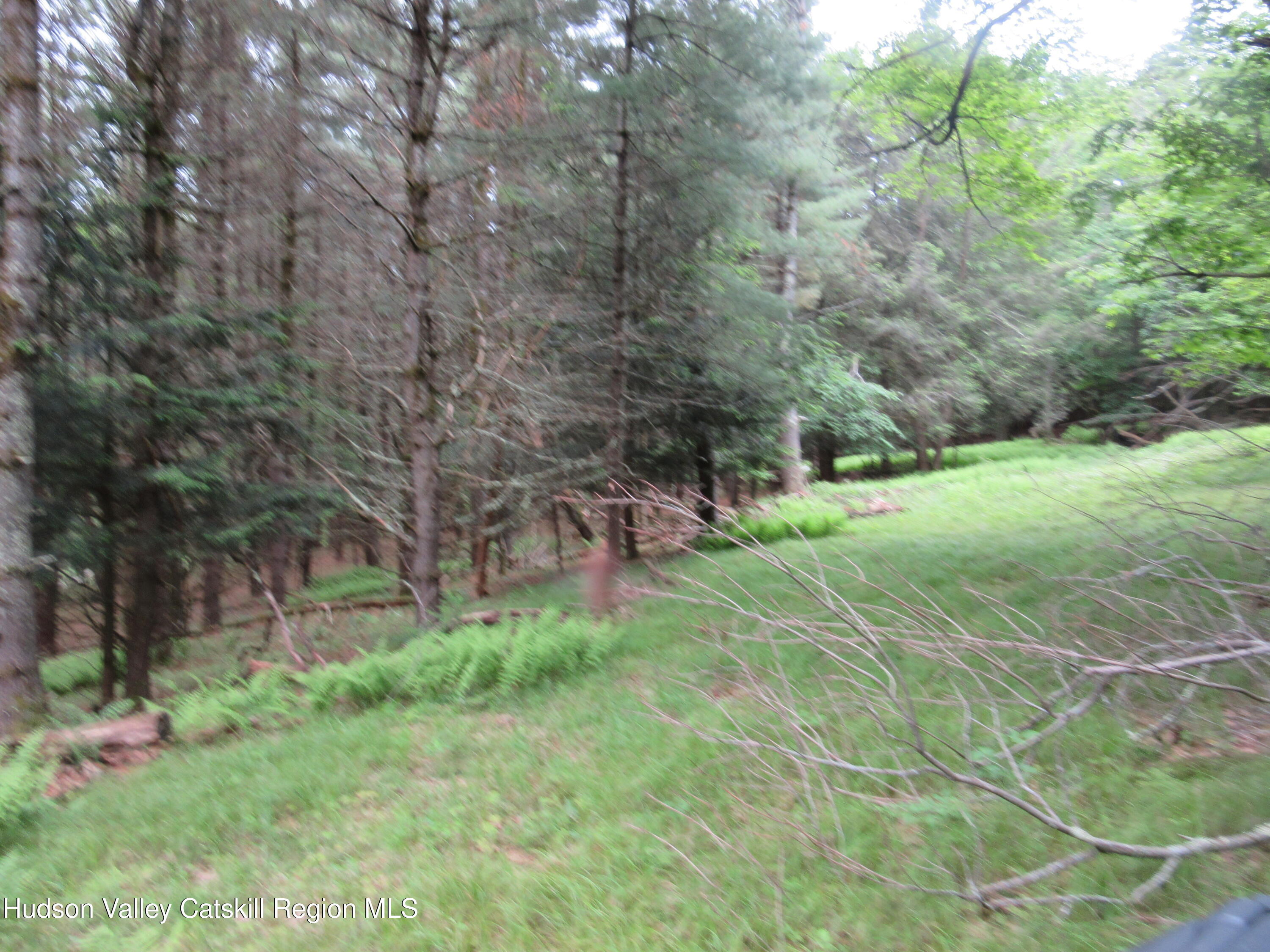 0 Airport Road Jewett, NY 12444 - Photo 31 of 38 IMG_7523