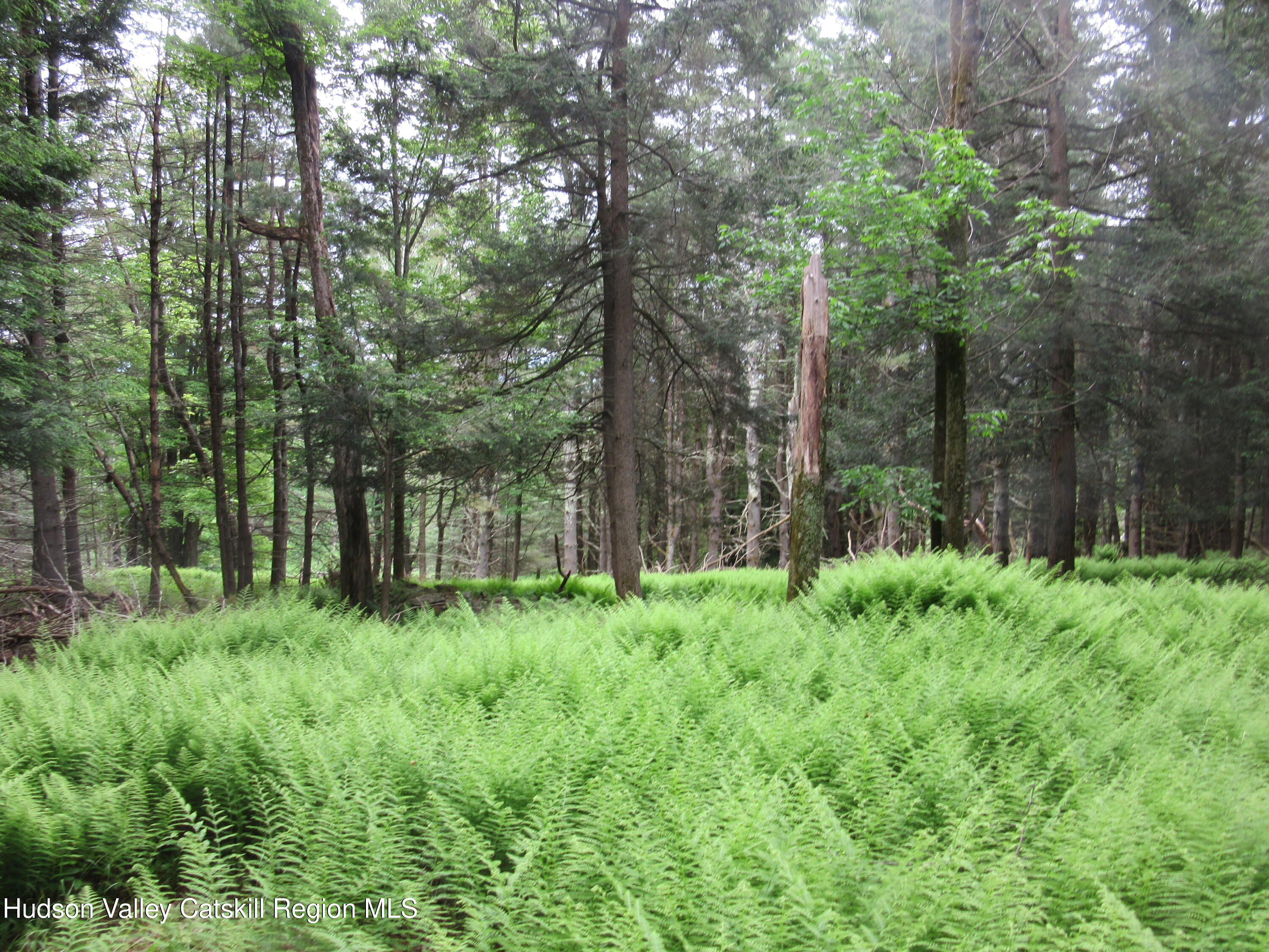 0 Airport Road Jewett, NY 12444 - Photo 32 of 38 IMG_7524