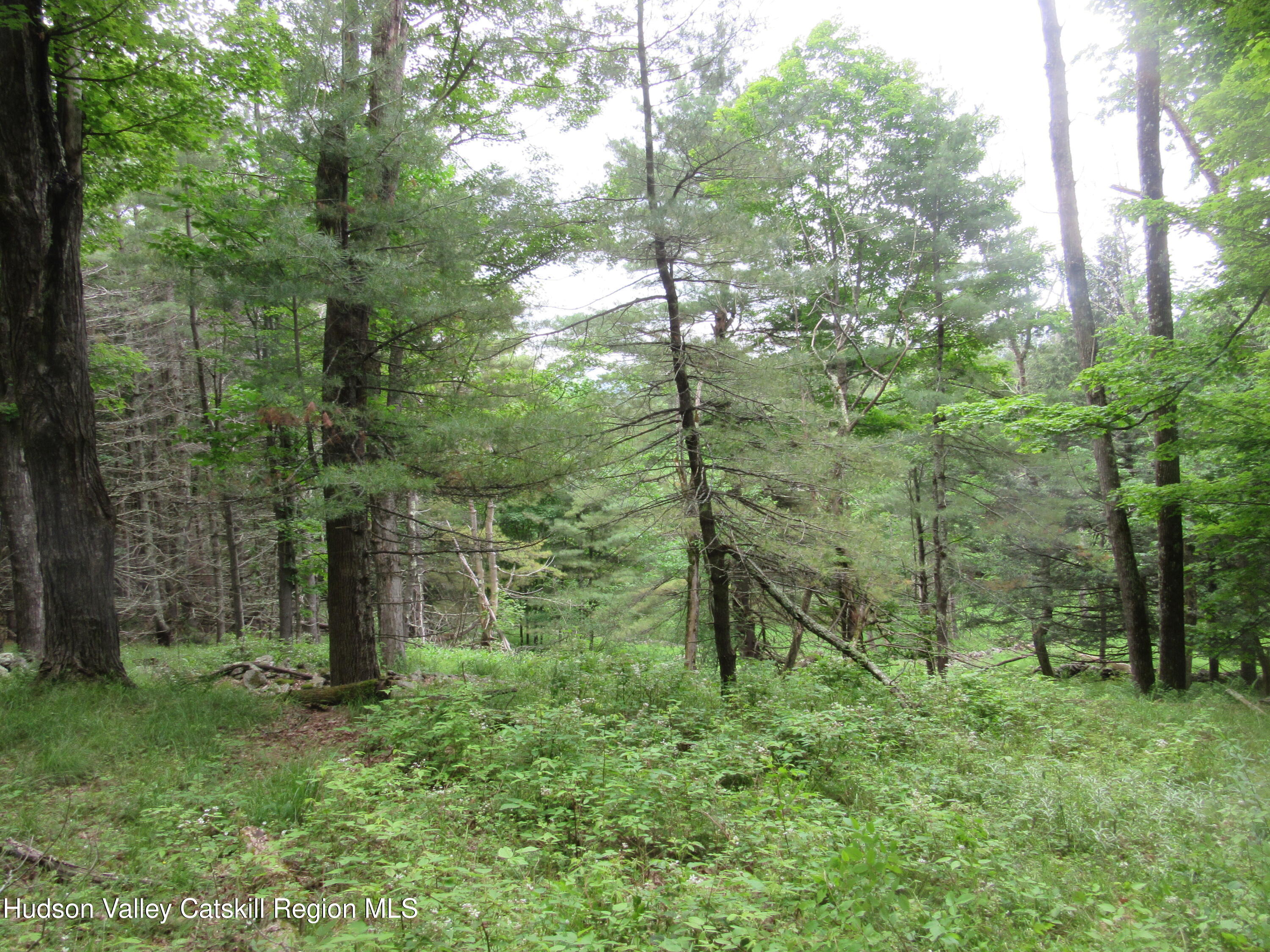 0 Airport Road Jewett, NY 12444 - Photo 36 of 38 IMG_7529