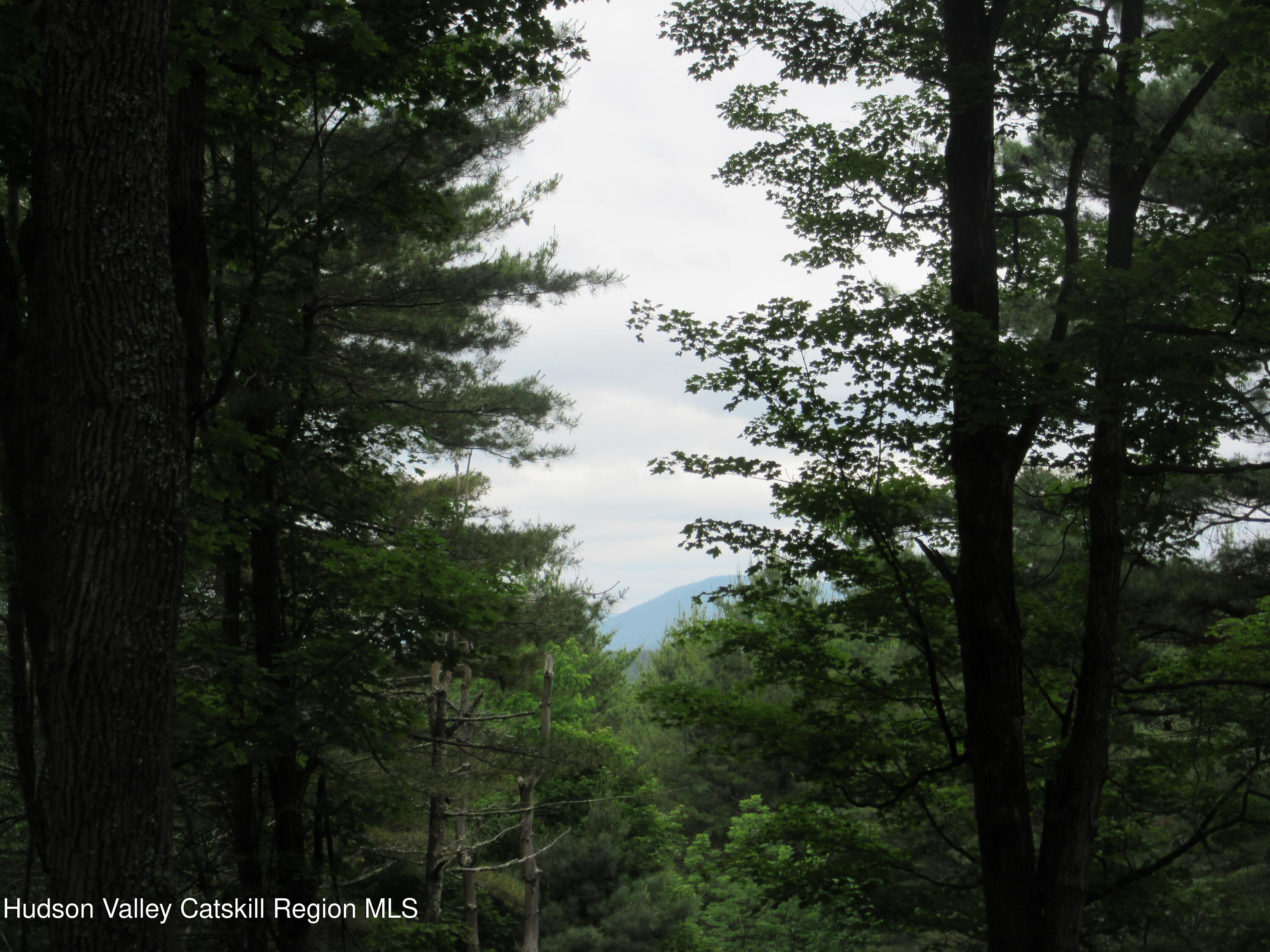 0 Airport Road Jewett, NY 12444 - Photo 38 of 38 IMG_7532