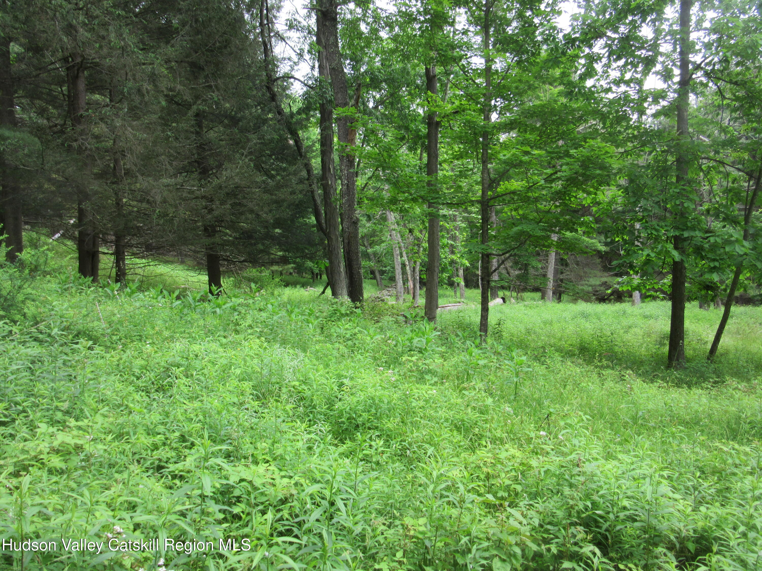 0 Airport Road Jewett, NY 12444 - Photo 6 of 38 IMG_7494