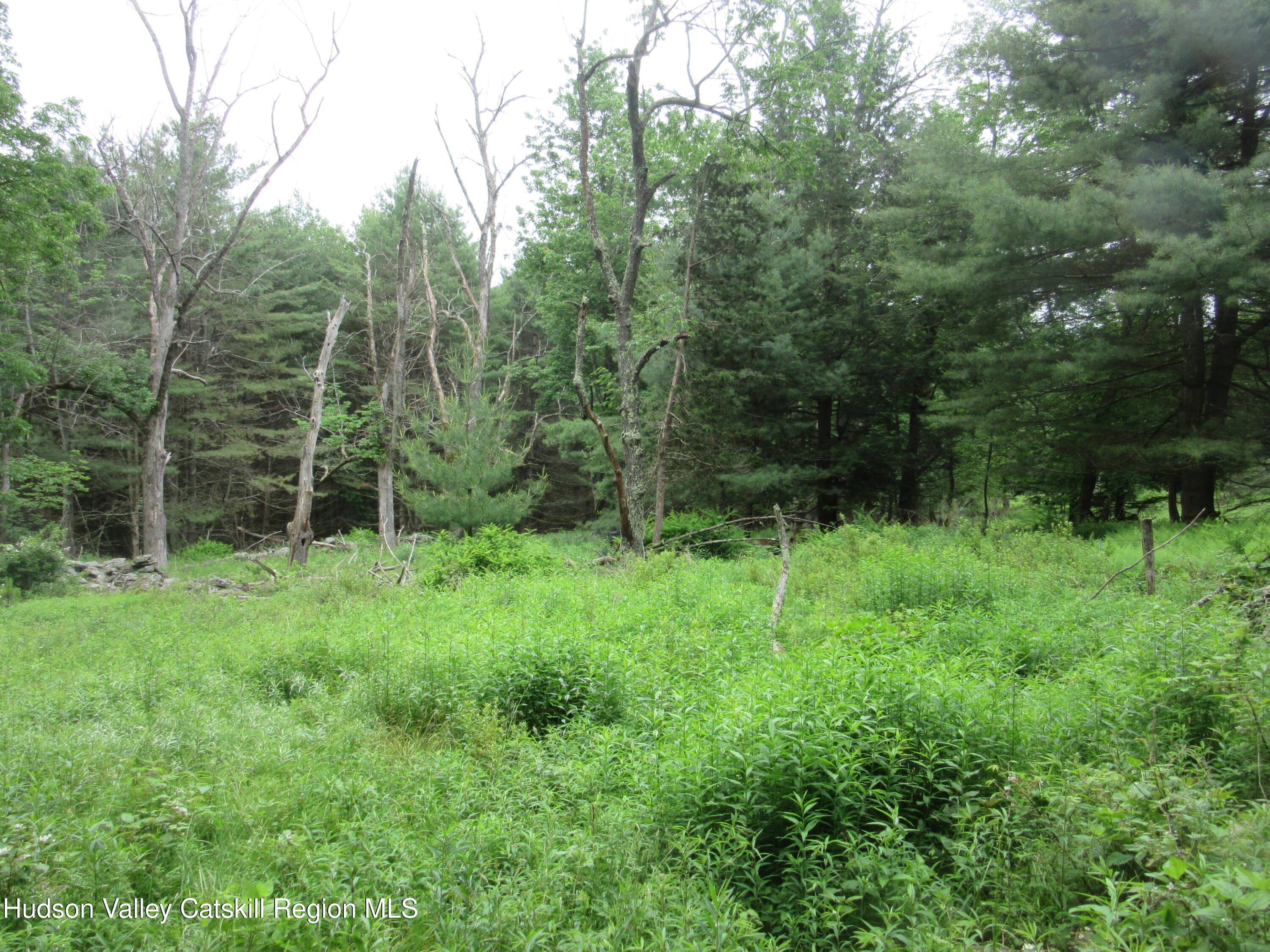 0 Airport Road Jewett, NY 12444 - Photo 8 of 38 IMG_7496