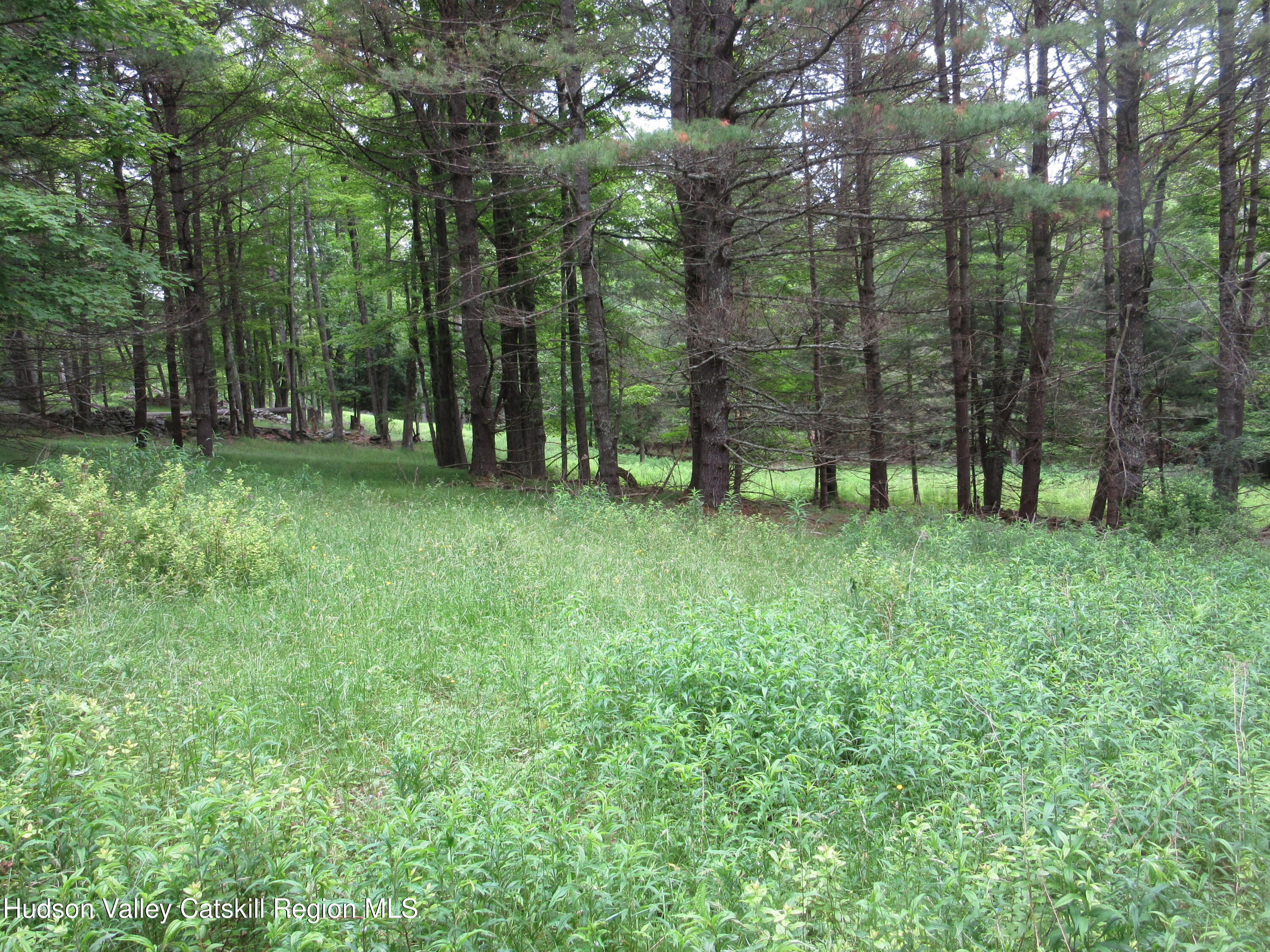 0 Airport Road Jewett, NY 12444 - Photo 10 of 38 IMG_7498